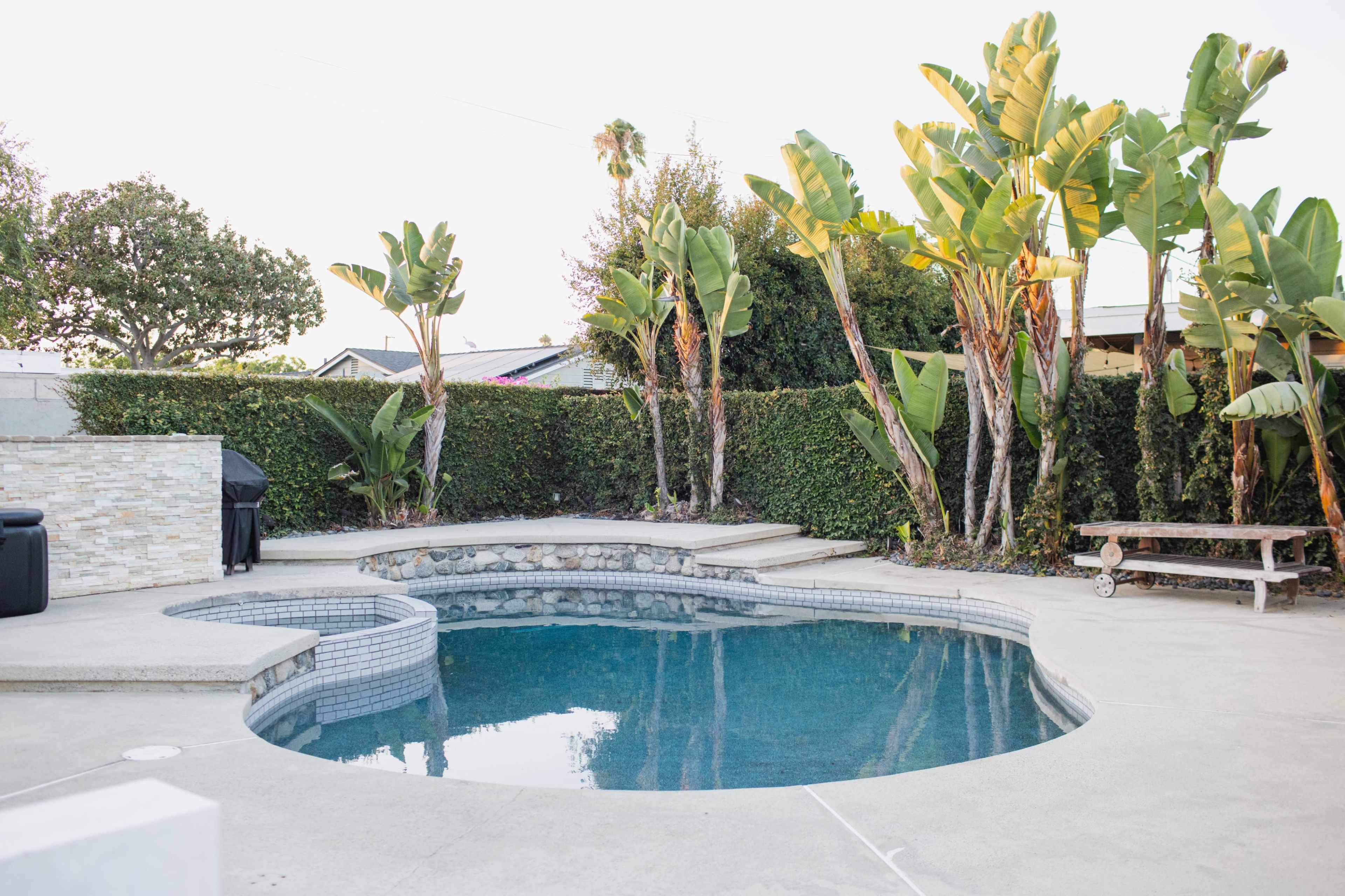 The image shows a backyard featuring a circular swimming pool surrounded by tropical plants and a concrete patio.