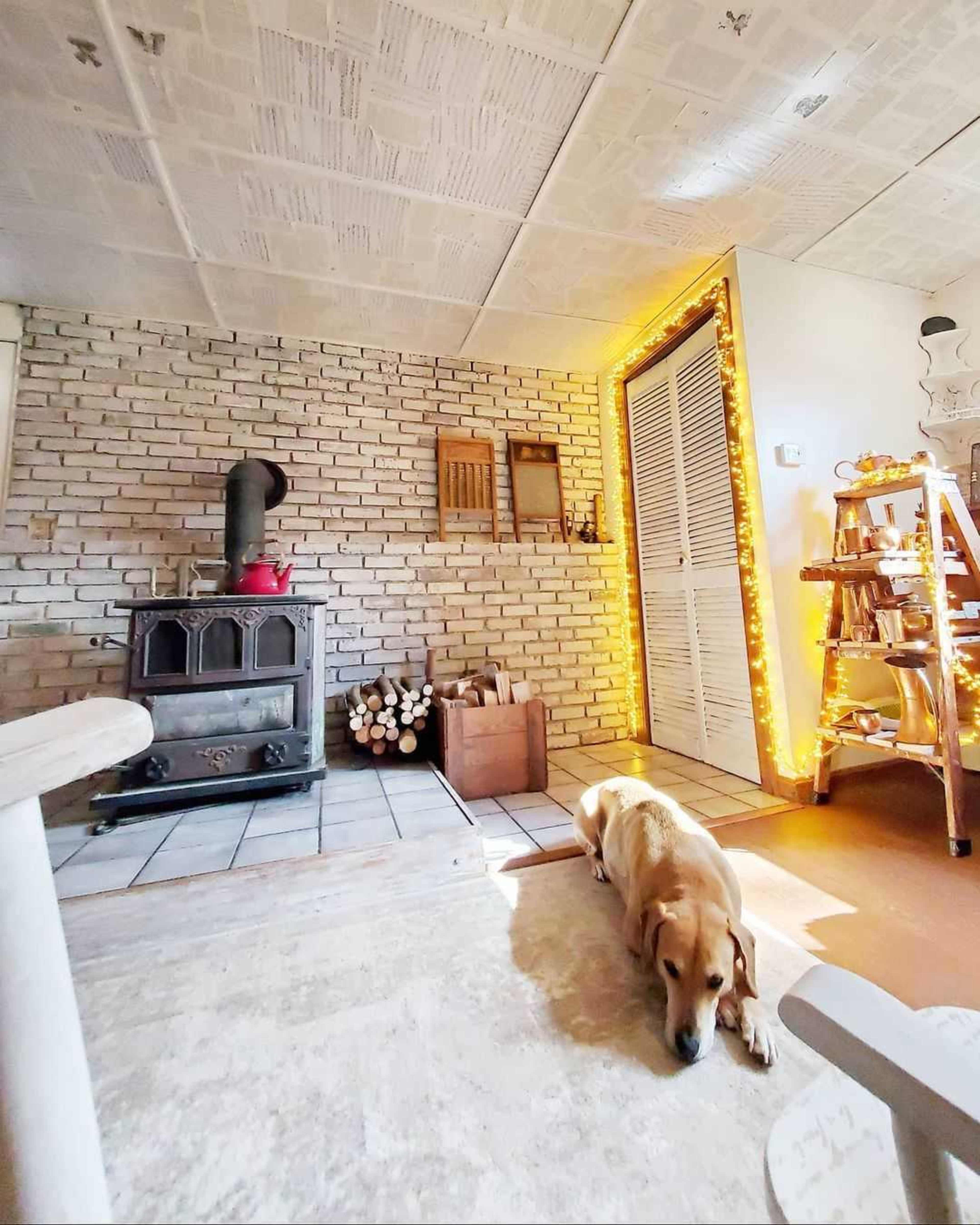 A cozy interior with a brick wall, a wood stove, a dog lying on the floor, and warm lighting highlighting a nearby closet.