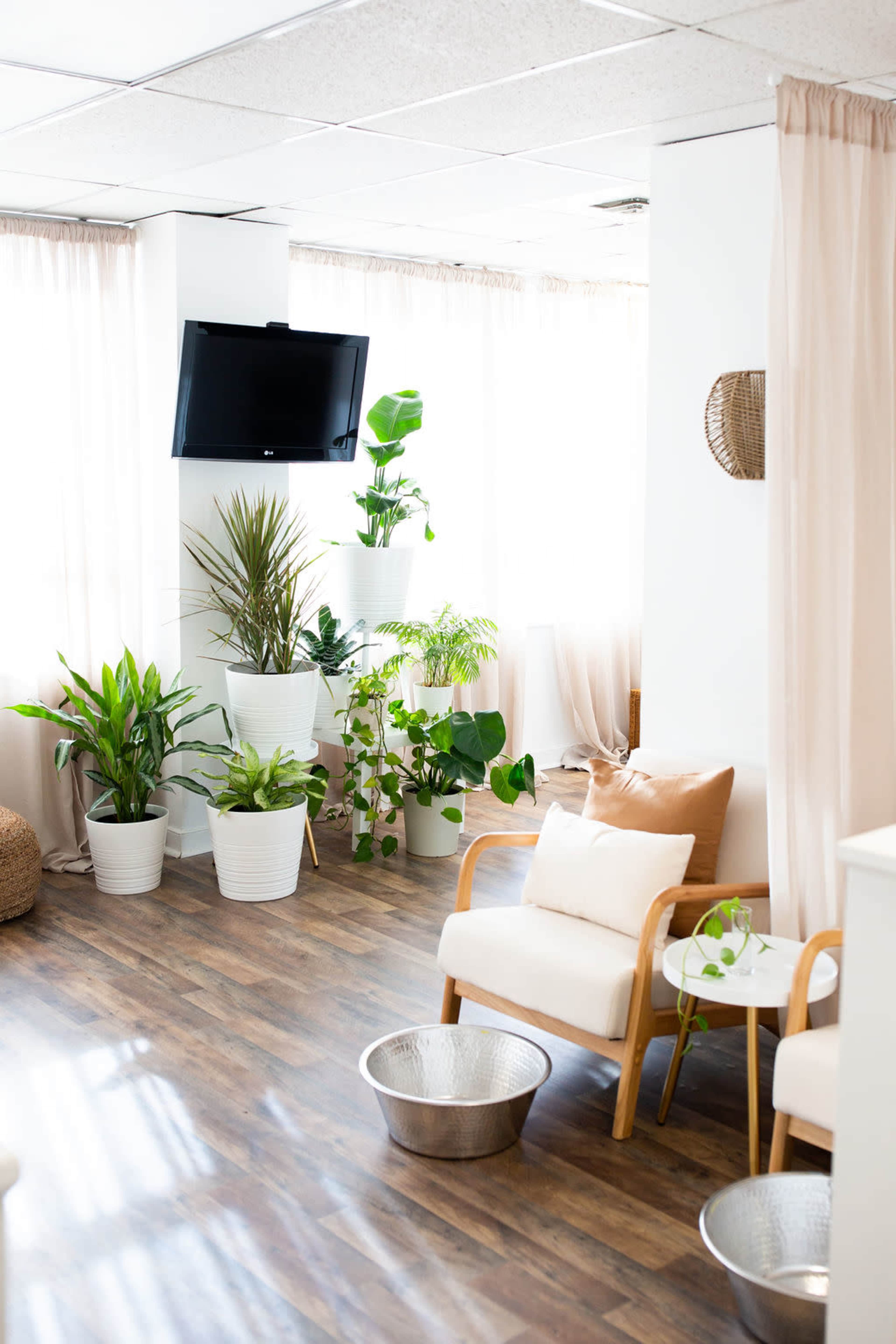 The image shows a bright room with large windows, featuring potted plants, a wall-mounted television, and minimalist furniture.