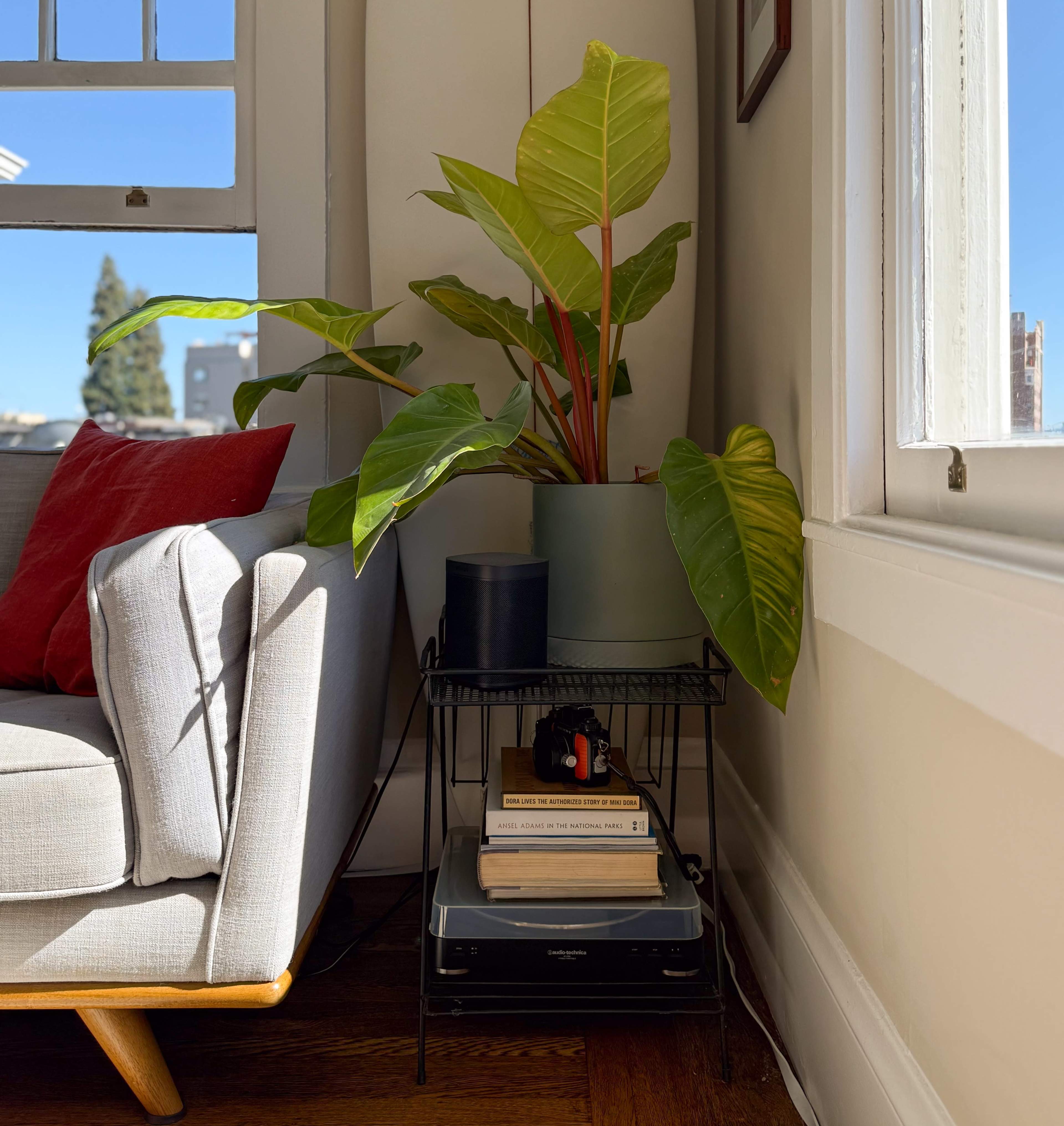 Sunny Lake Merritt Loft Image in Adams Point, Oakland, CA