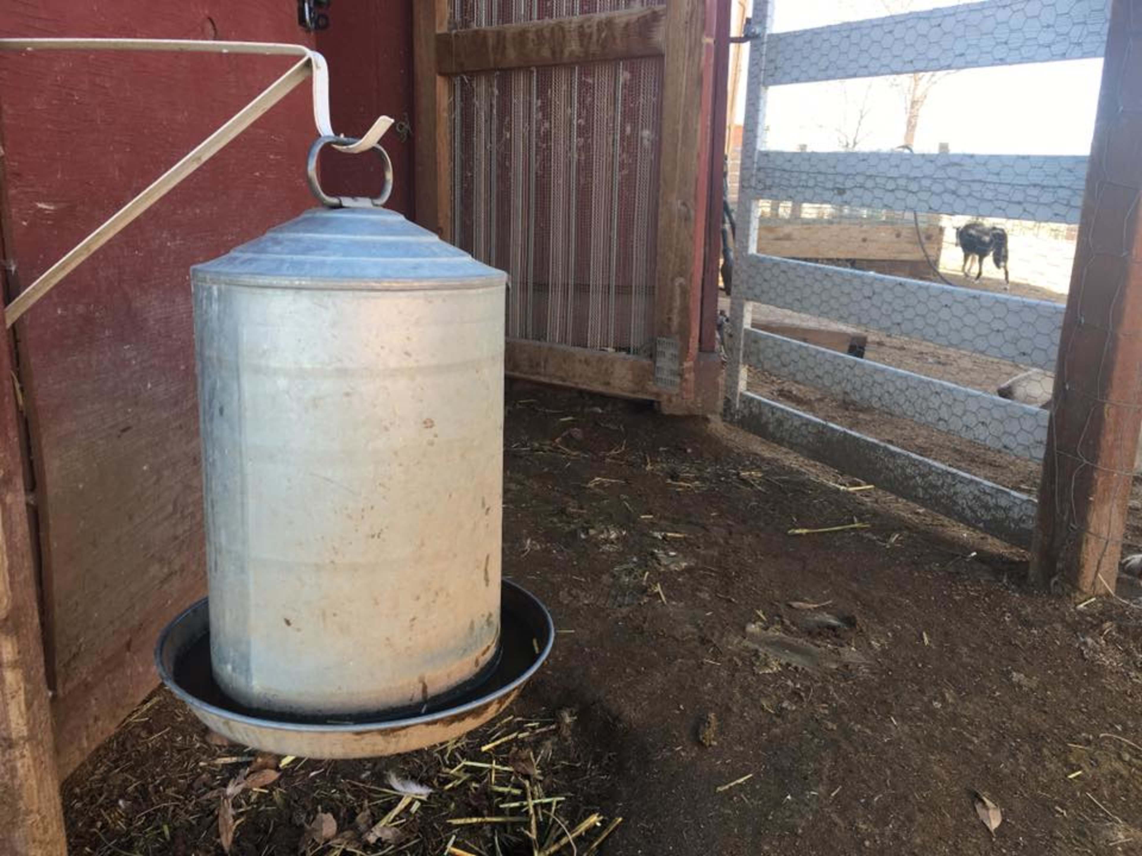 A metal water container hangs beside a wooden barn door, with a fenced area visible in the background.