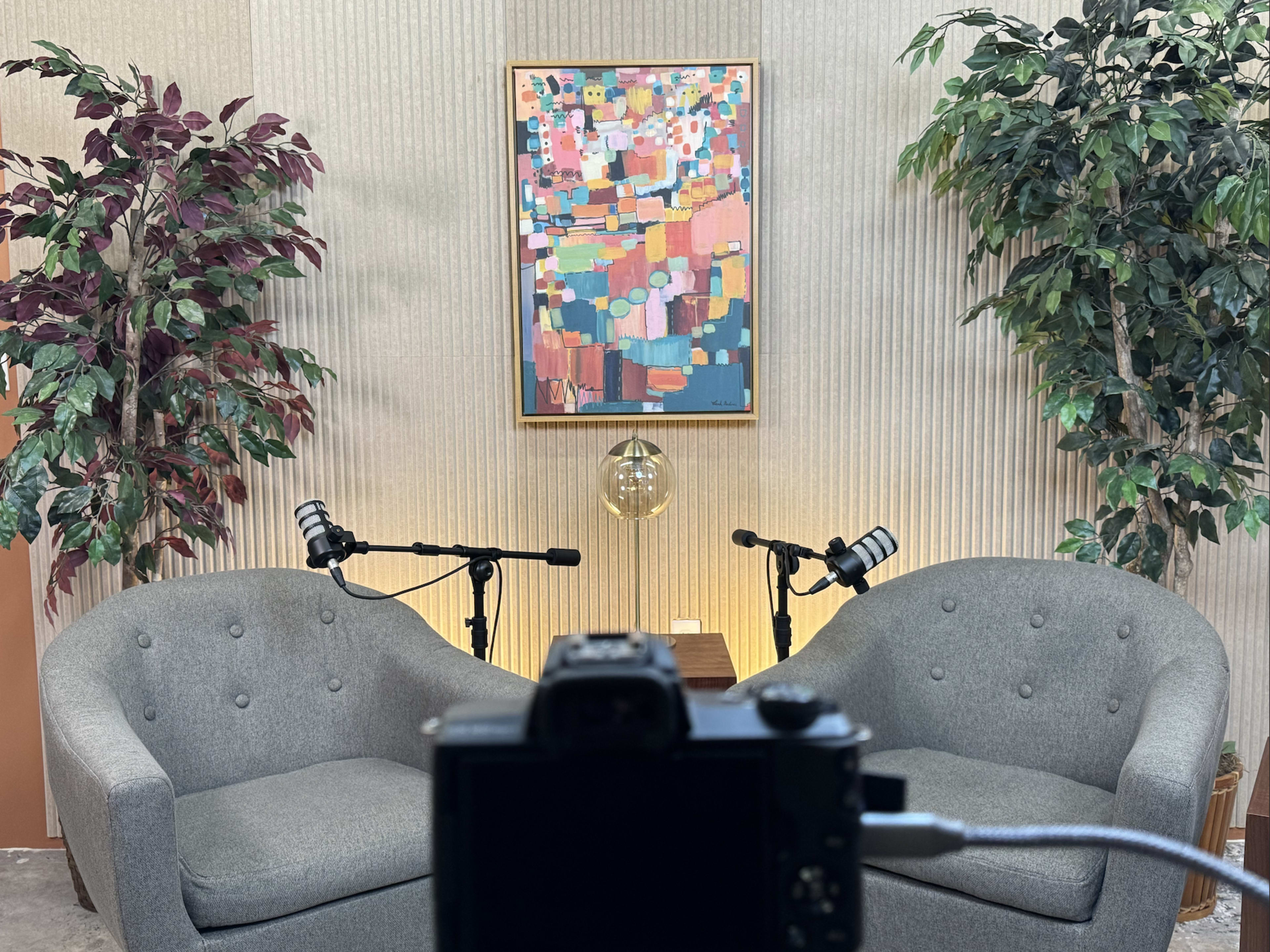 Houston 3 Video Camera Podcast Studio Image in South Central Houston, Houston, TX