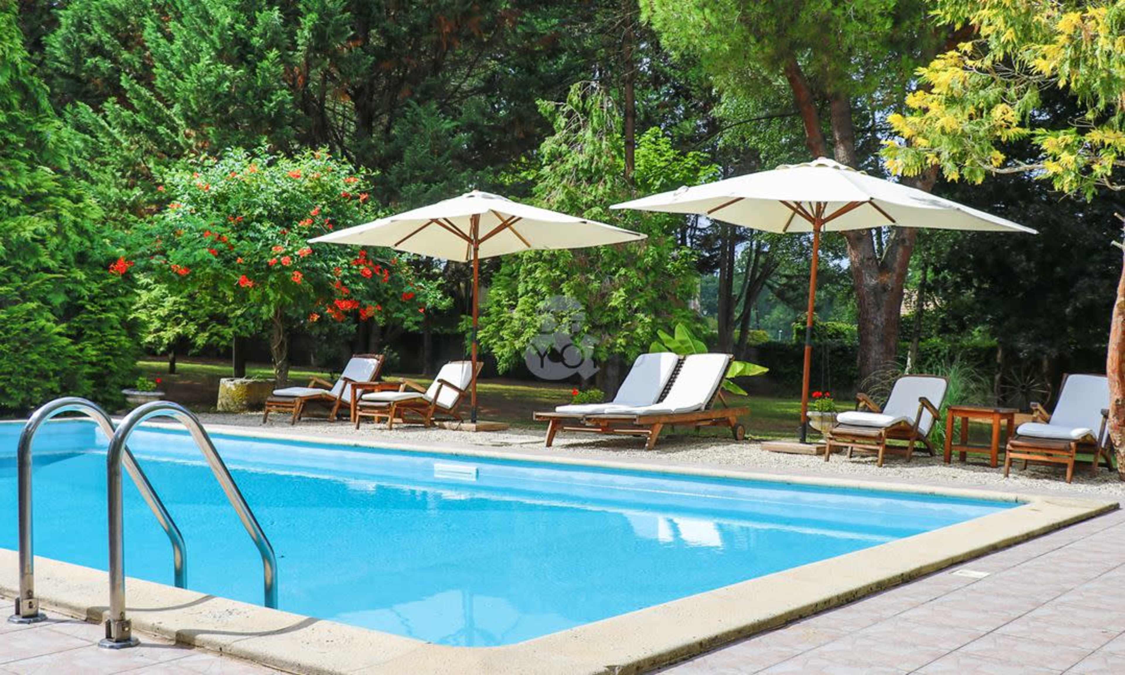 A clear swimming pool is surrounded by lounge chairs and umbrellas in a landscaped garden.