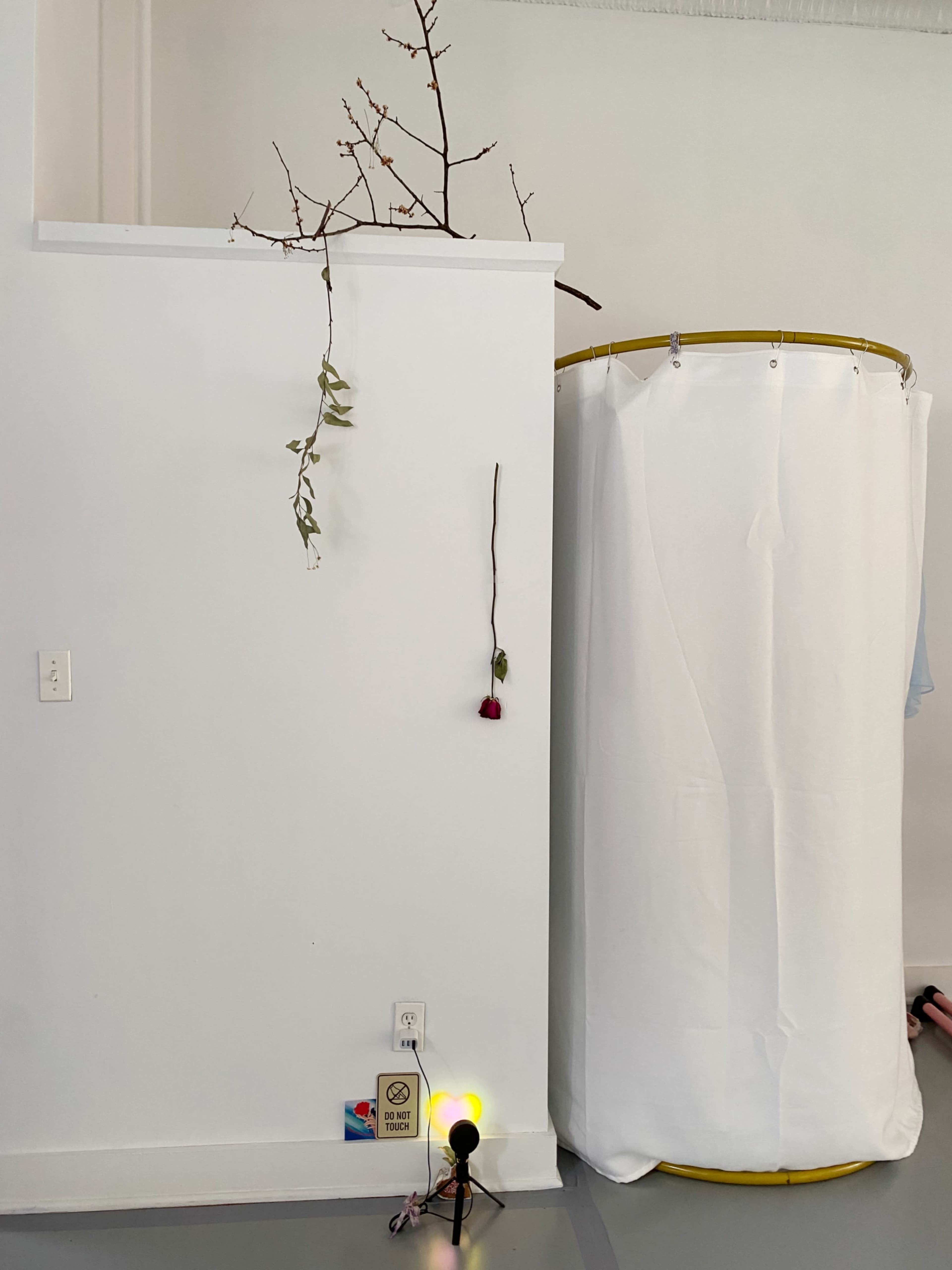 A branch with sparse leaves extends from a white wall near a backdrop of a draped white curtain and a microphone on a stand with a yellow light.