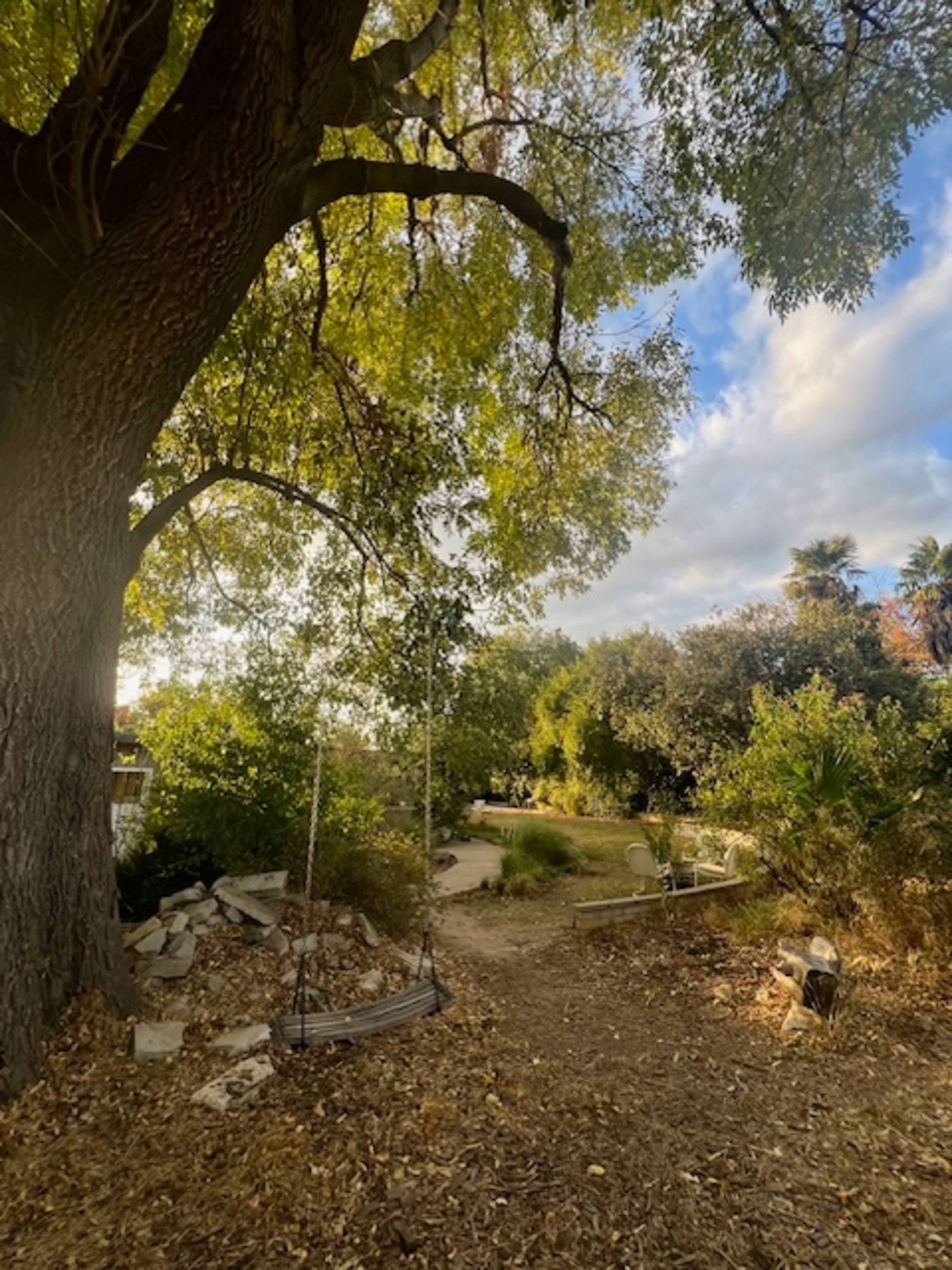 A pathway leads through a garden area shaded by a large tree, with swings hanging nearby and greenery lining the sides.