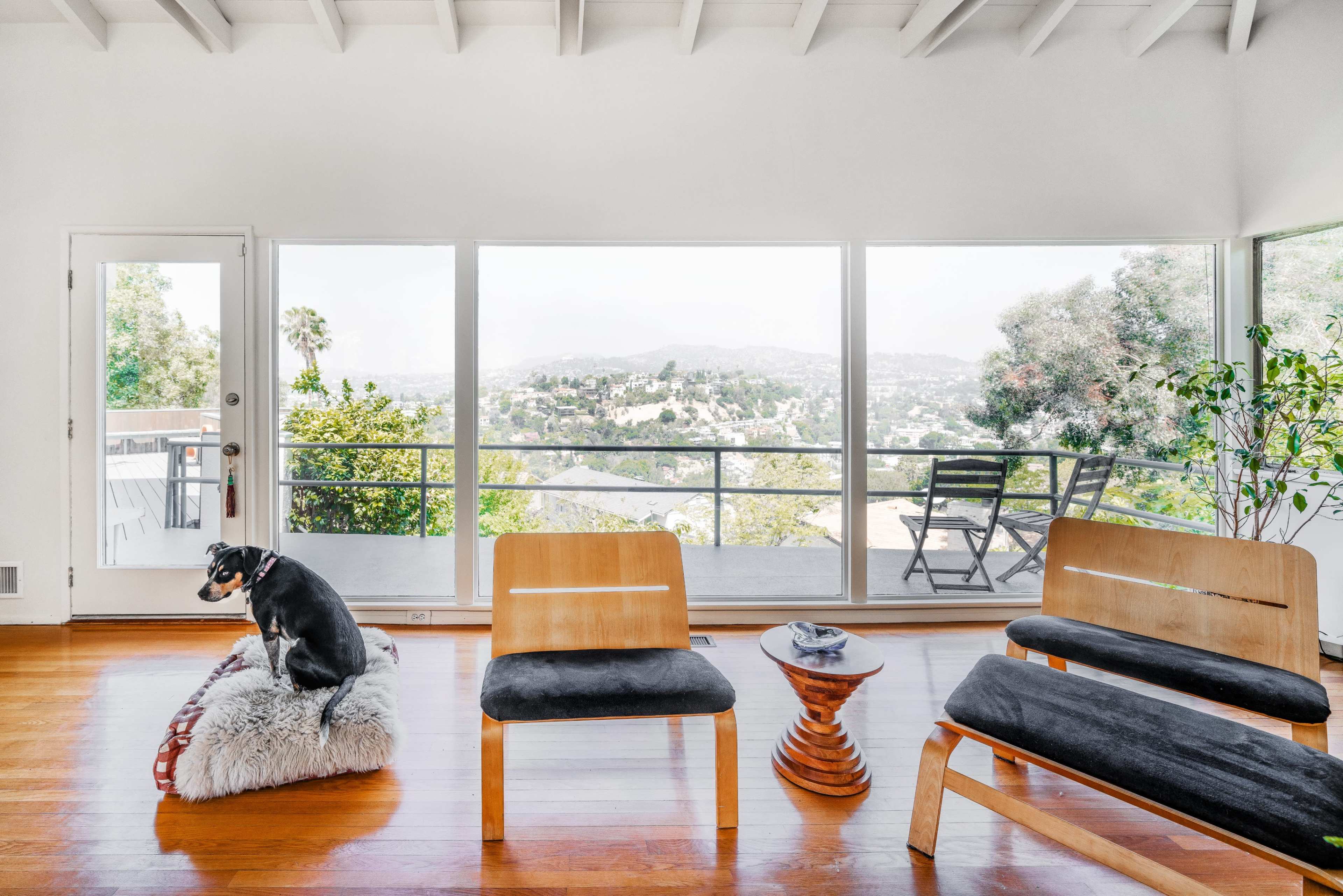 A dog sits on a small rug in a room with large windows overlooking a hilly landscape.