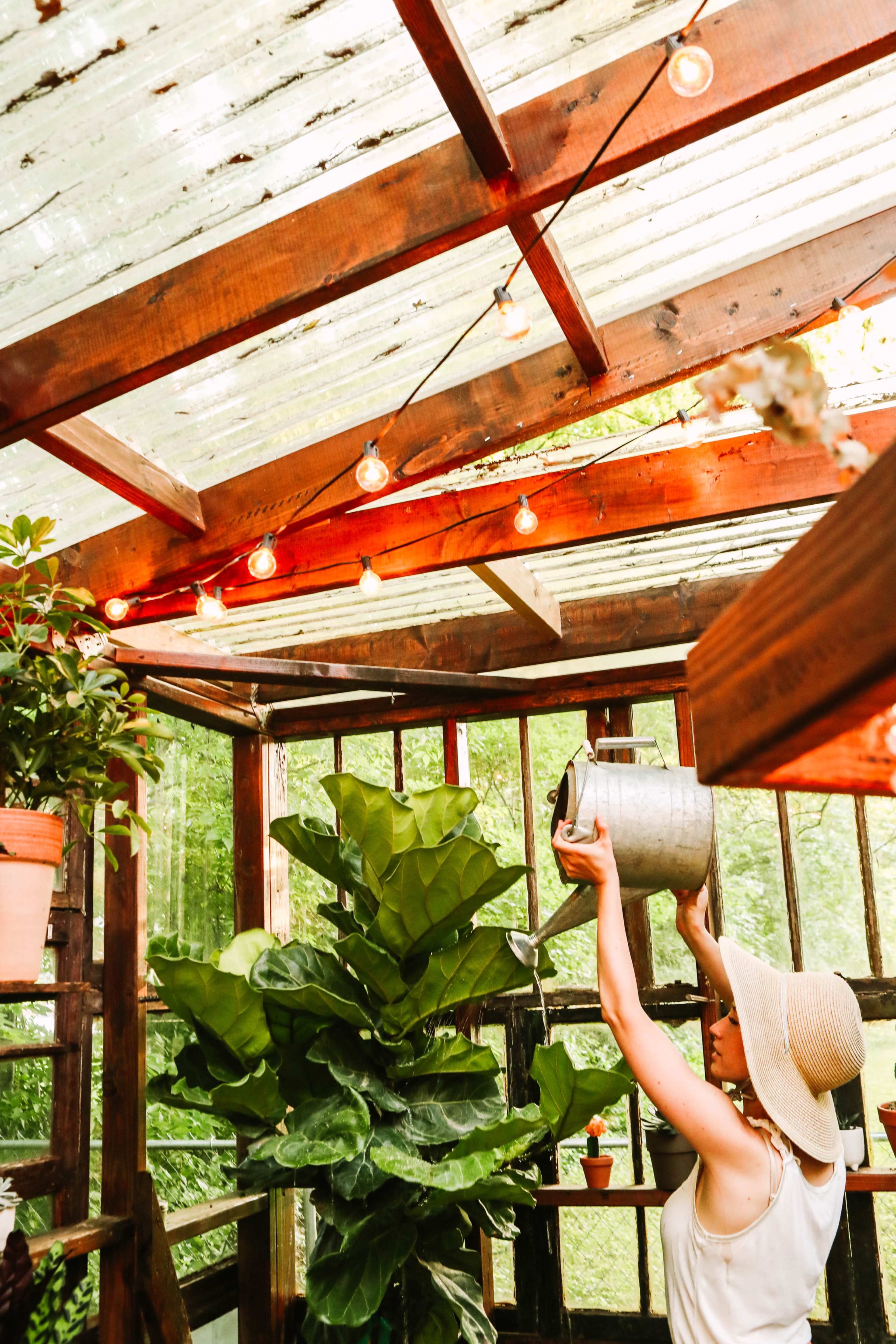 A person wearing a wide-brimmed hat waters plants in a wooden greenhouse illuminated by string lights.