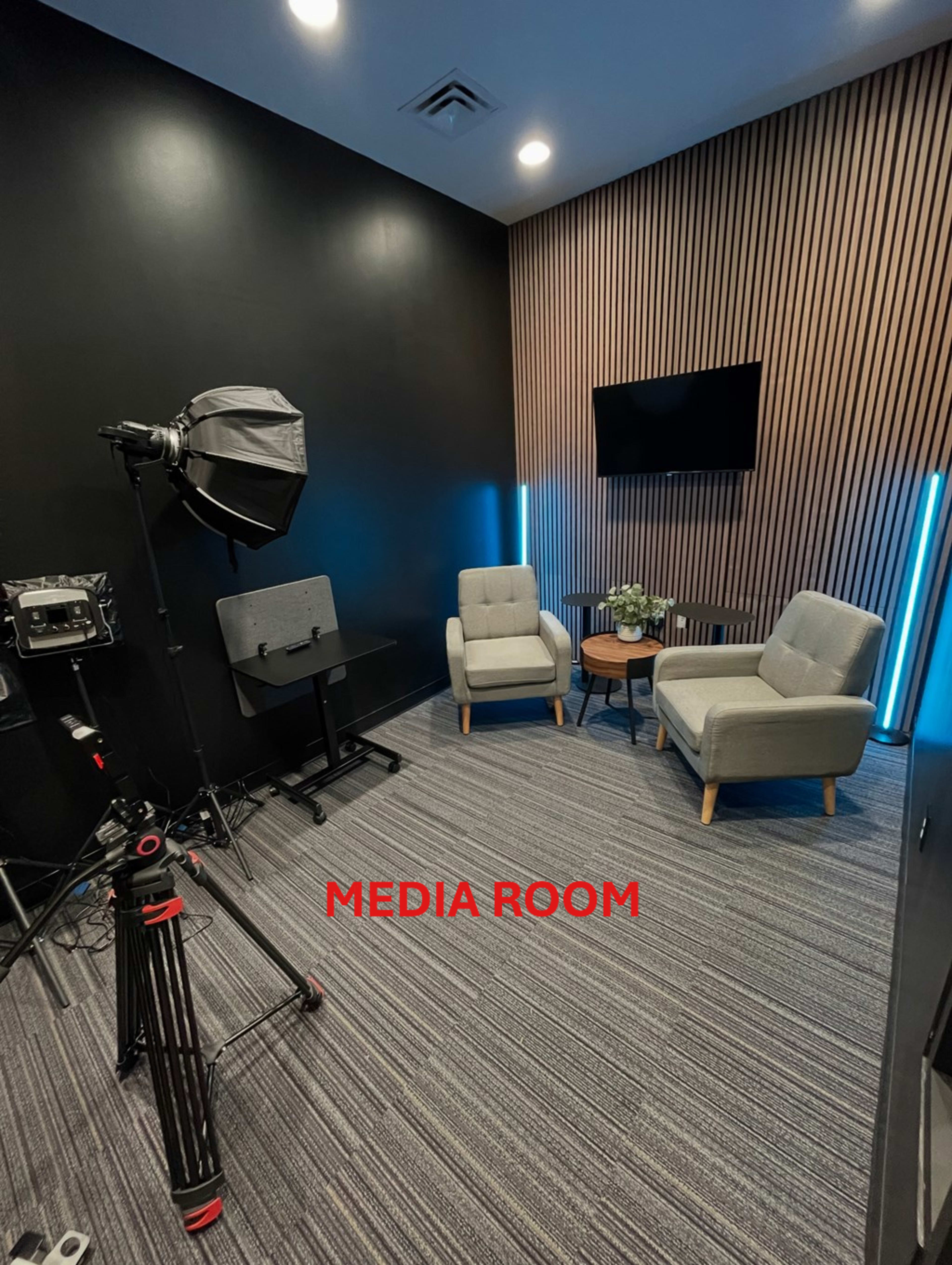 The image shows a media room featuring two gray chairs, a small table with a plant, a camera setup, and a television on the wall.