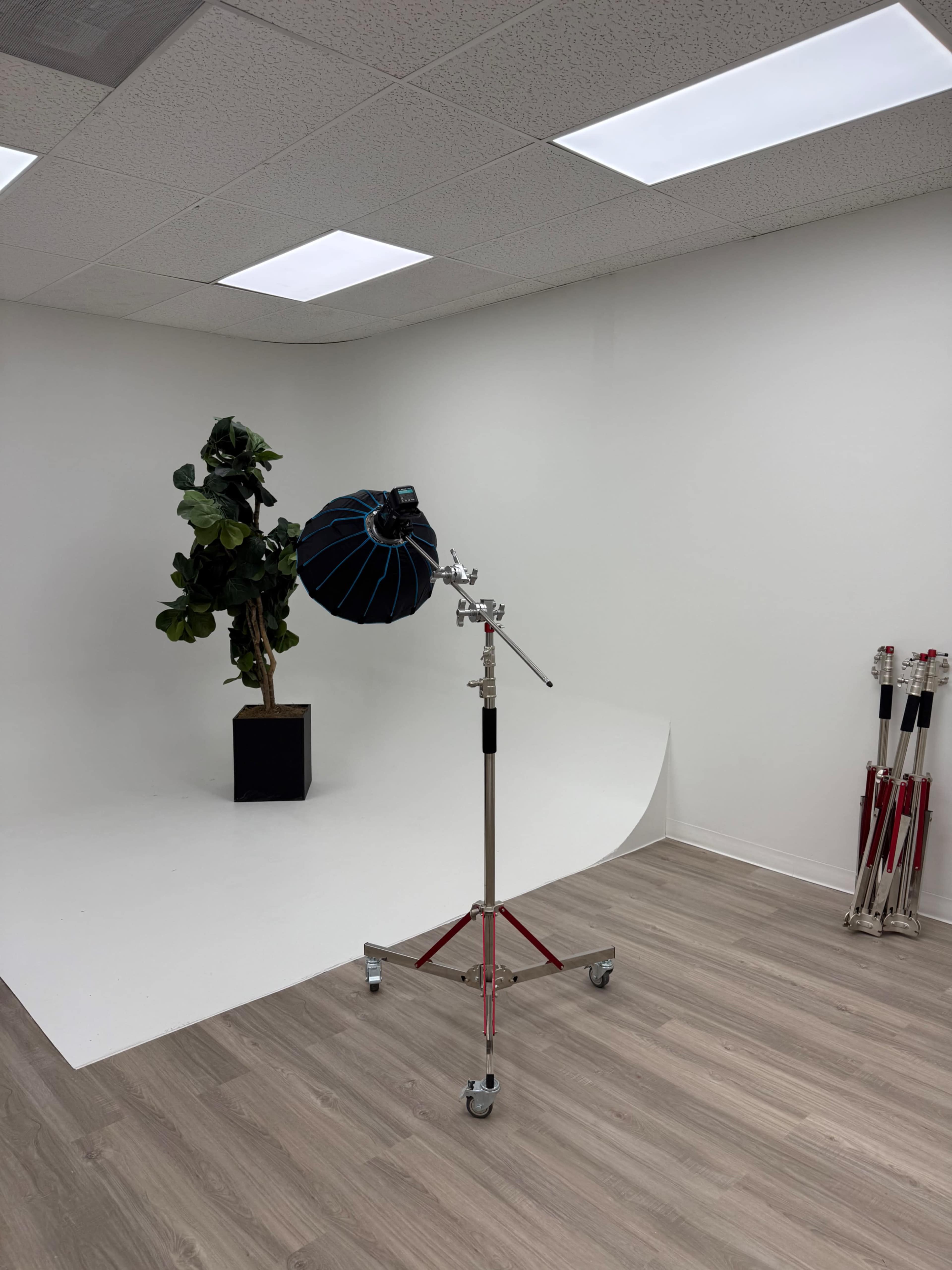 Modern Photography w/ CYC Wall & Props in Denver Image in Twin Lakes, Denver, CO