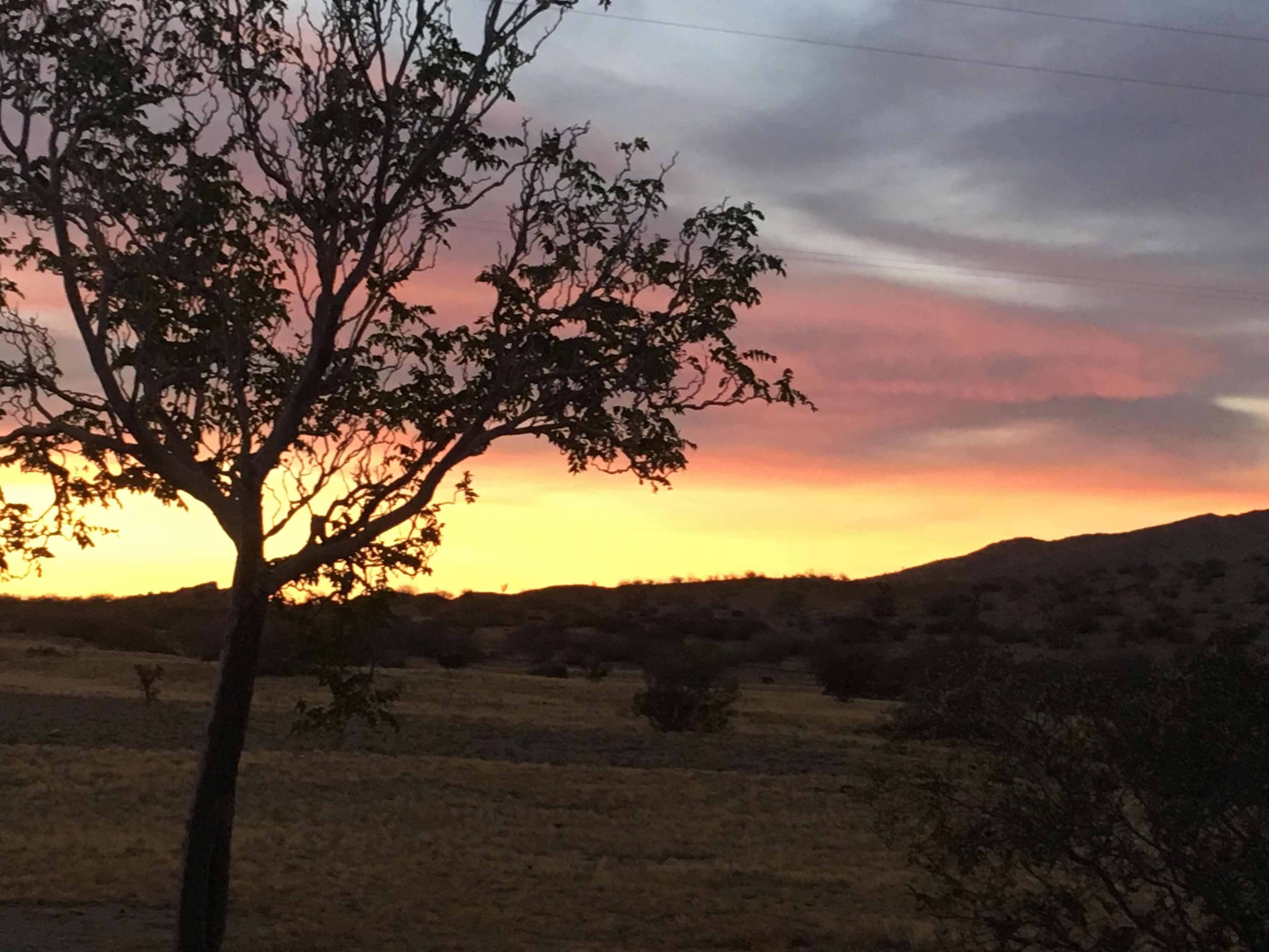 A silhouette of a tree stands against a colorful sunset over a desert landscape.