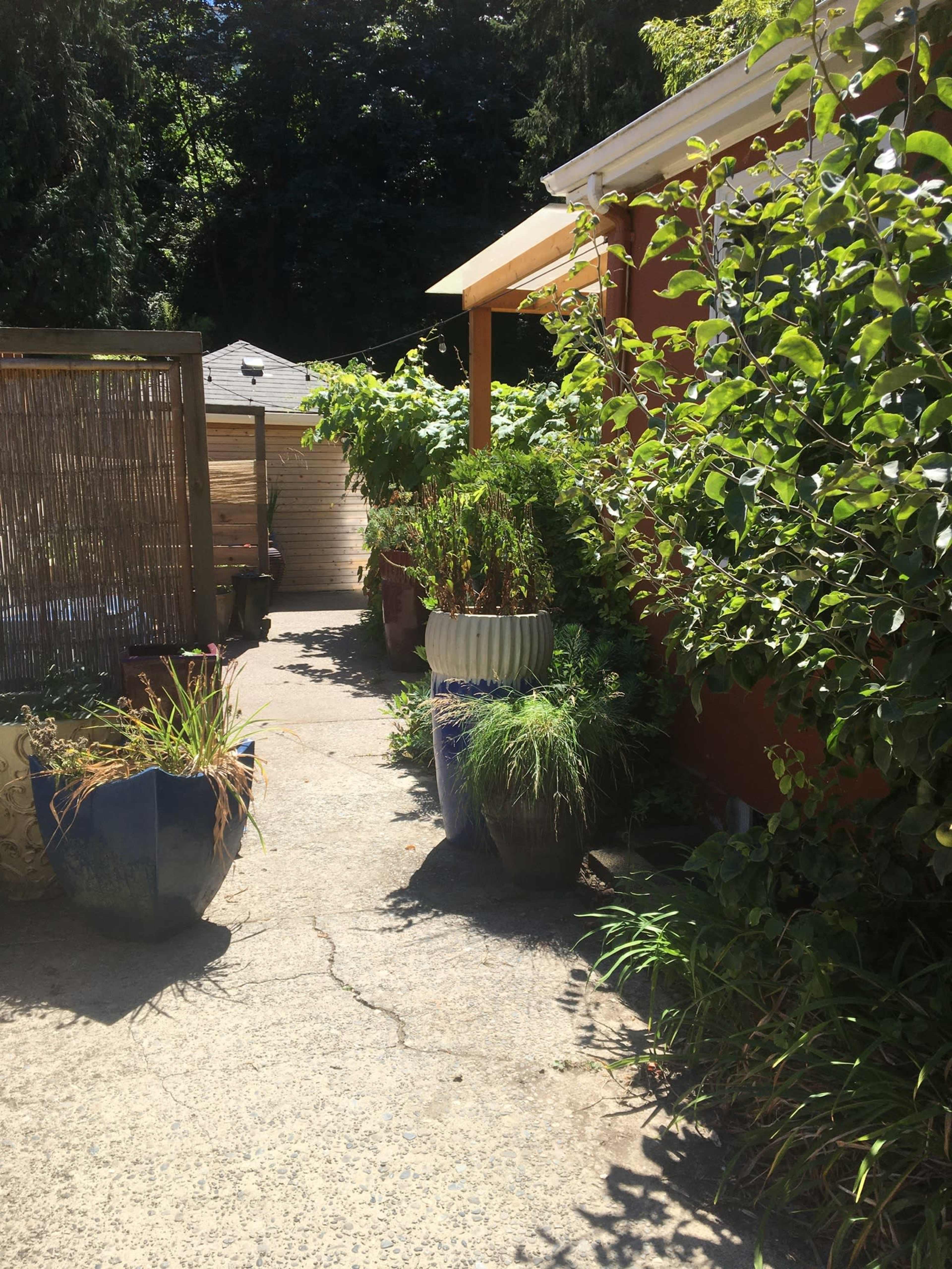A narrow pathway lined with green plants and large pots runs alongside a building with vibrant orange walls.