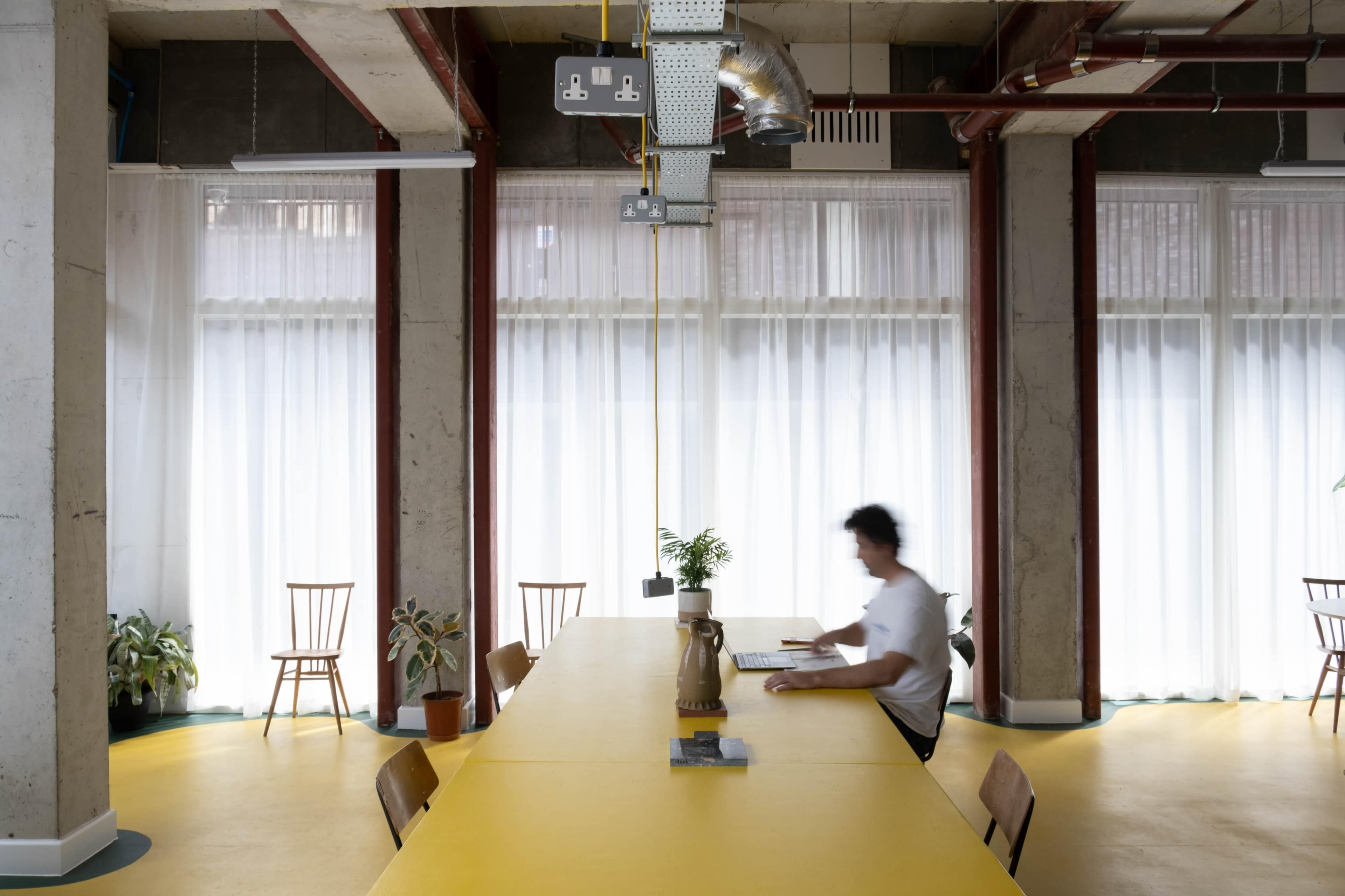 A person works at a long yellow table in a bright, minimalist office with large windows and potted plants.