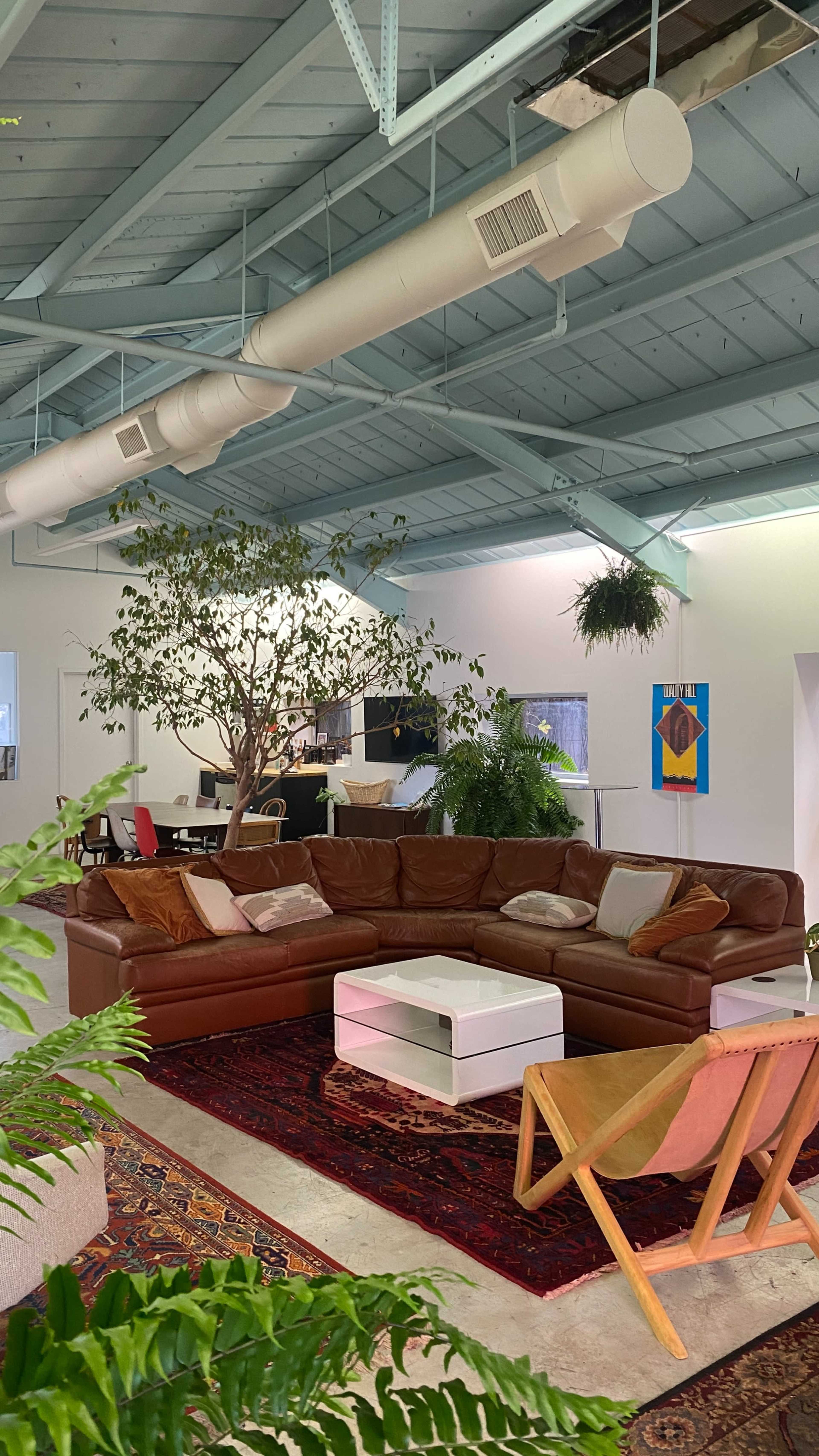 A spacious living area with a large brown sectional sofa, a white coffee table, and various plants against a backdrop of a light blue ceiling.