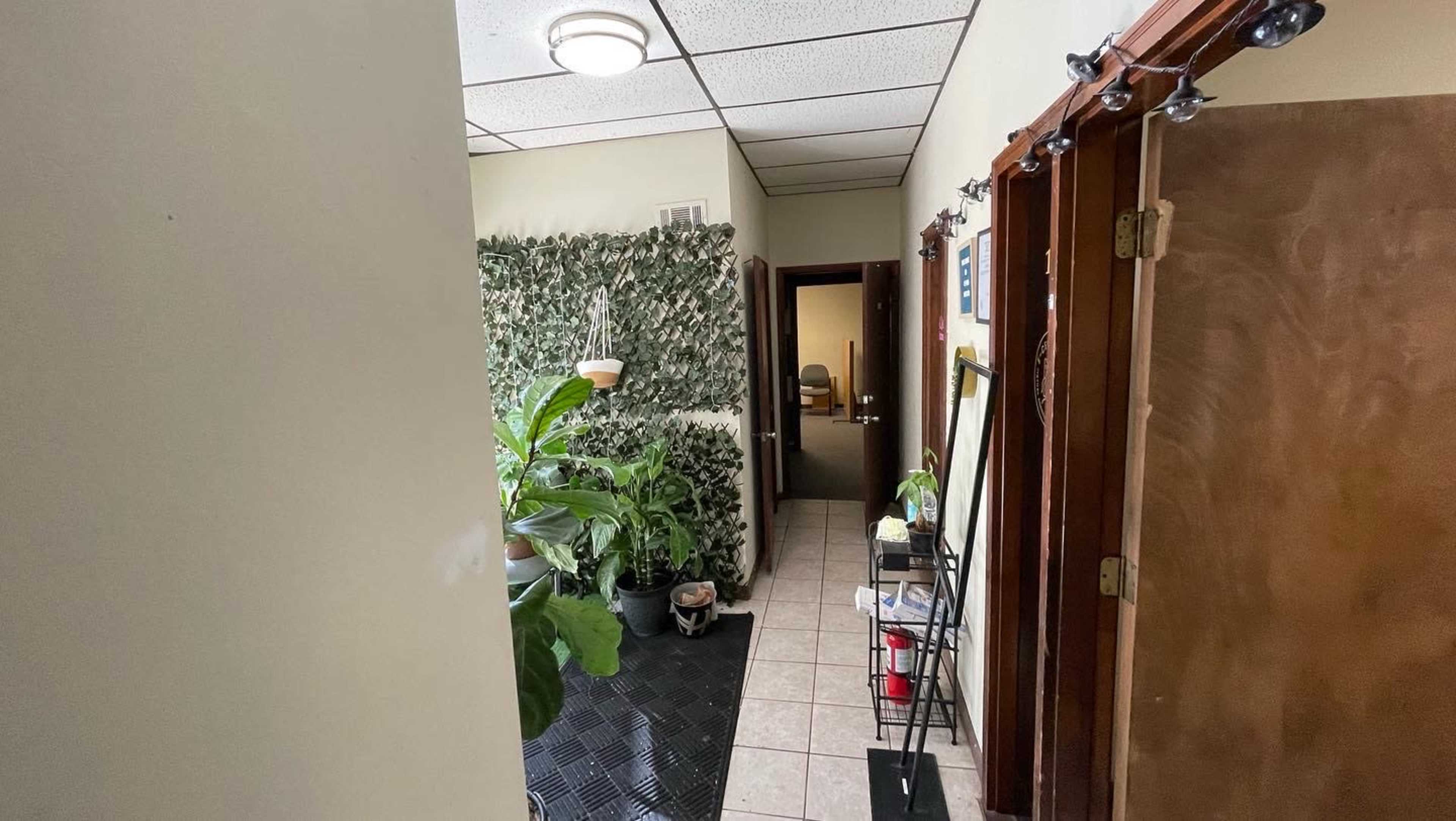 A narrow hallway with green plants along the left wall and a doorway leading to another room at the end.