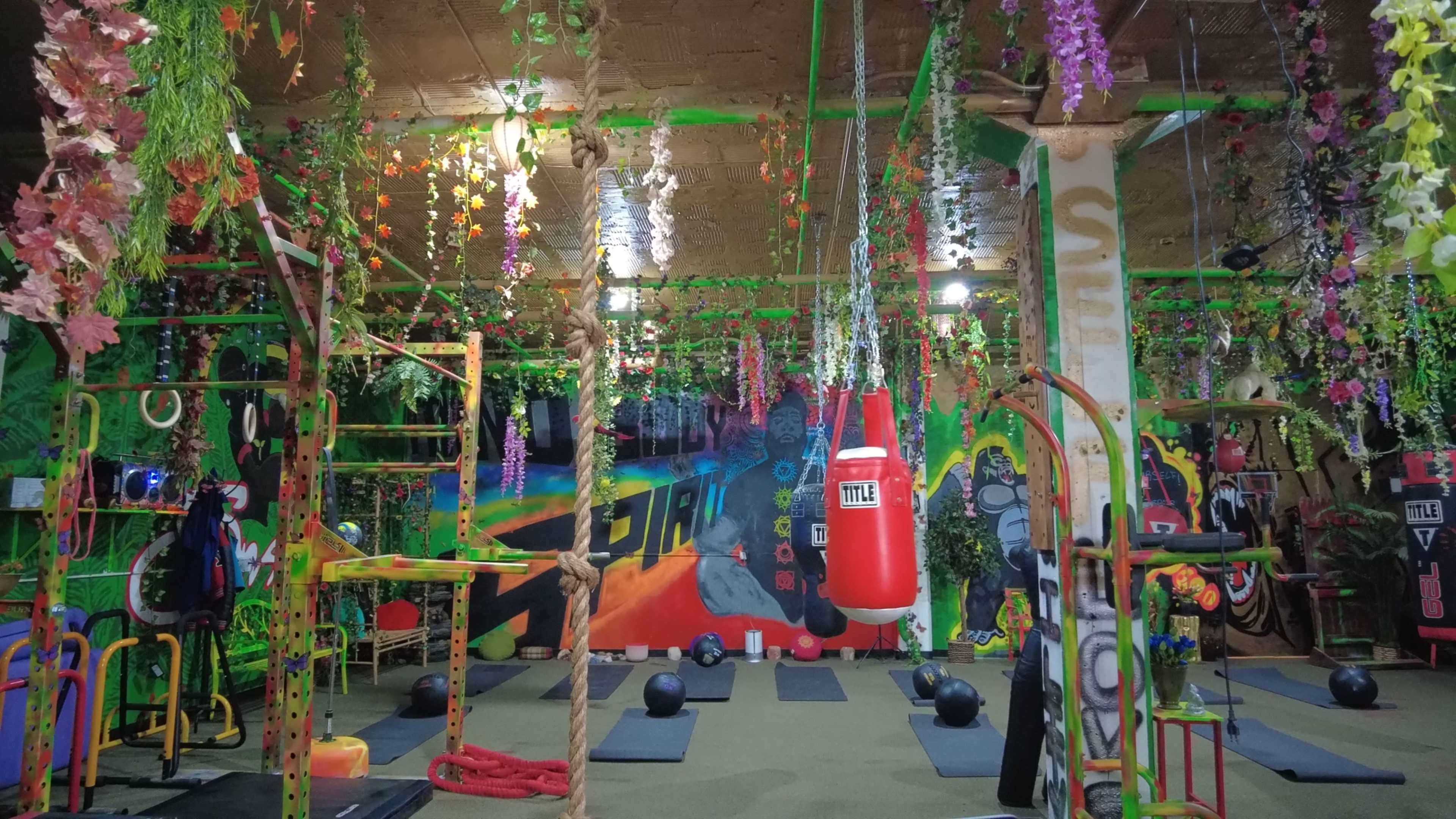 A gym interior decorated with colorful murals and hanging plants, featuring various exercise equipment like a boxing bag, ropes, and gym mats.