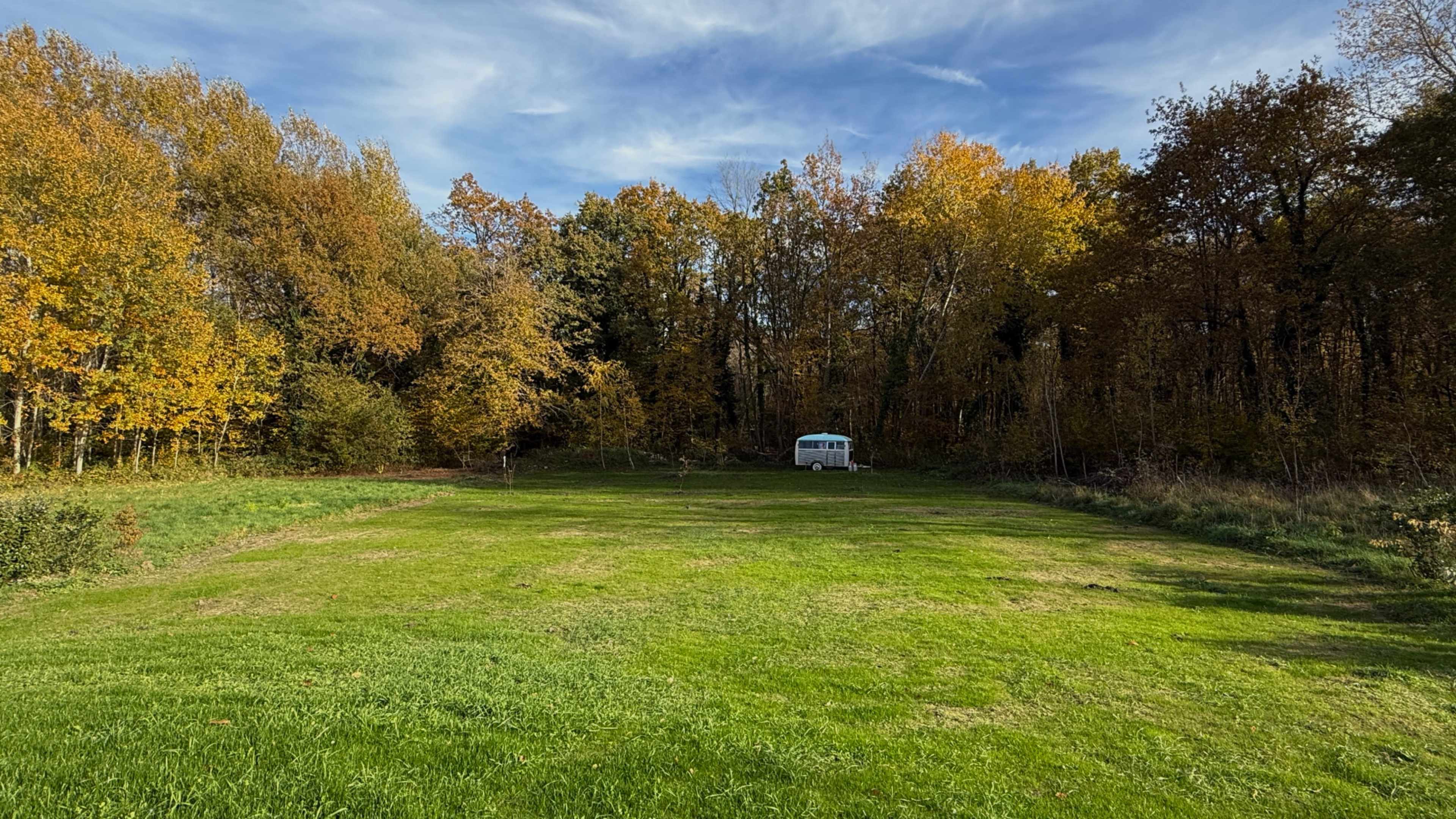 A grassy clearing surrounded by trees with autumn foliage and a white van parked in the distance.