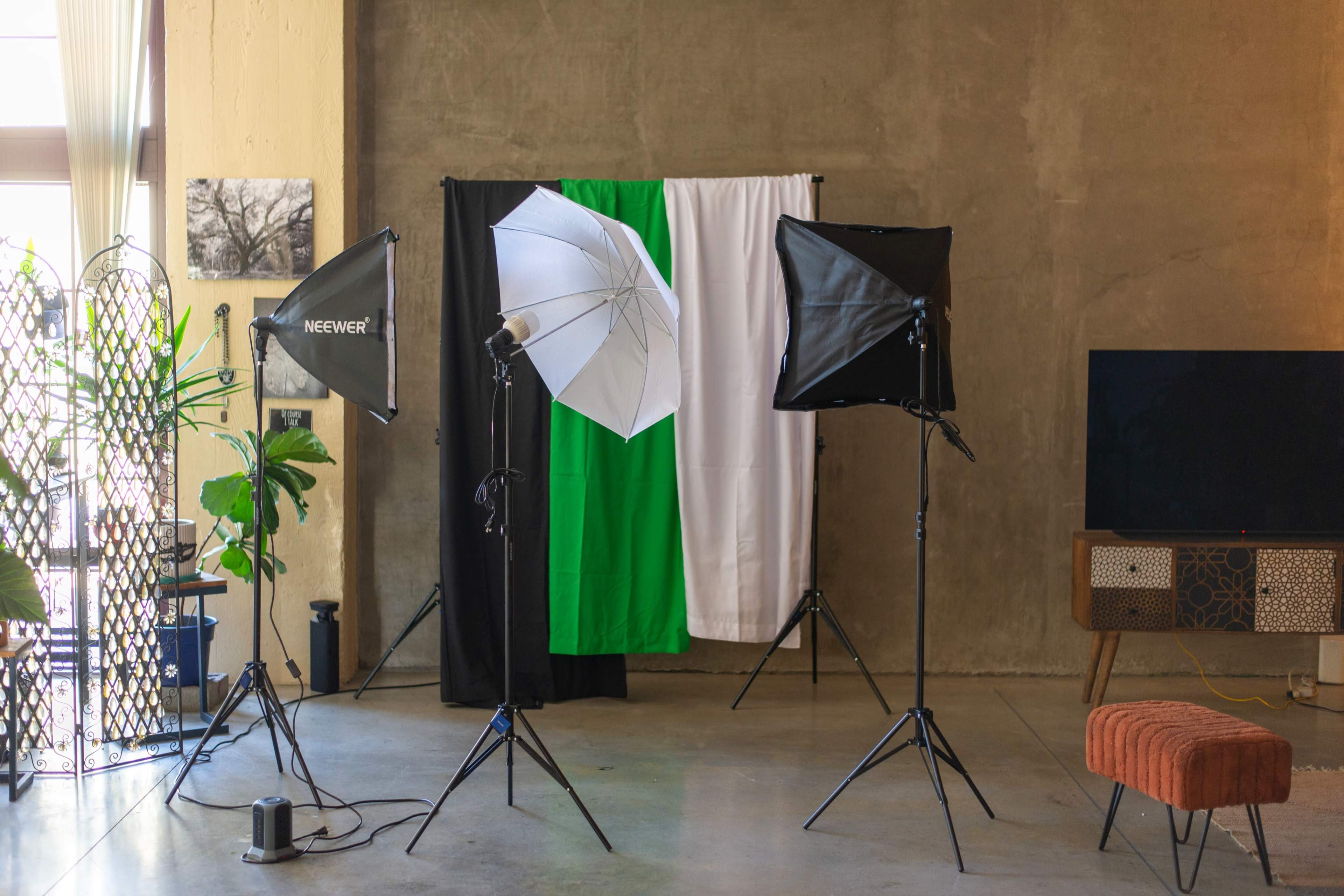 Green art living loft Image in East 14th Street Business District, Oakland, CA