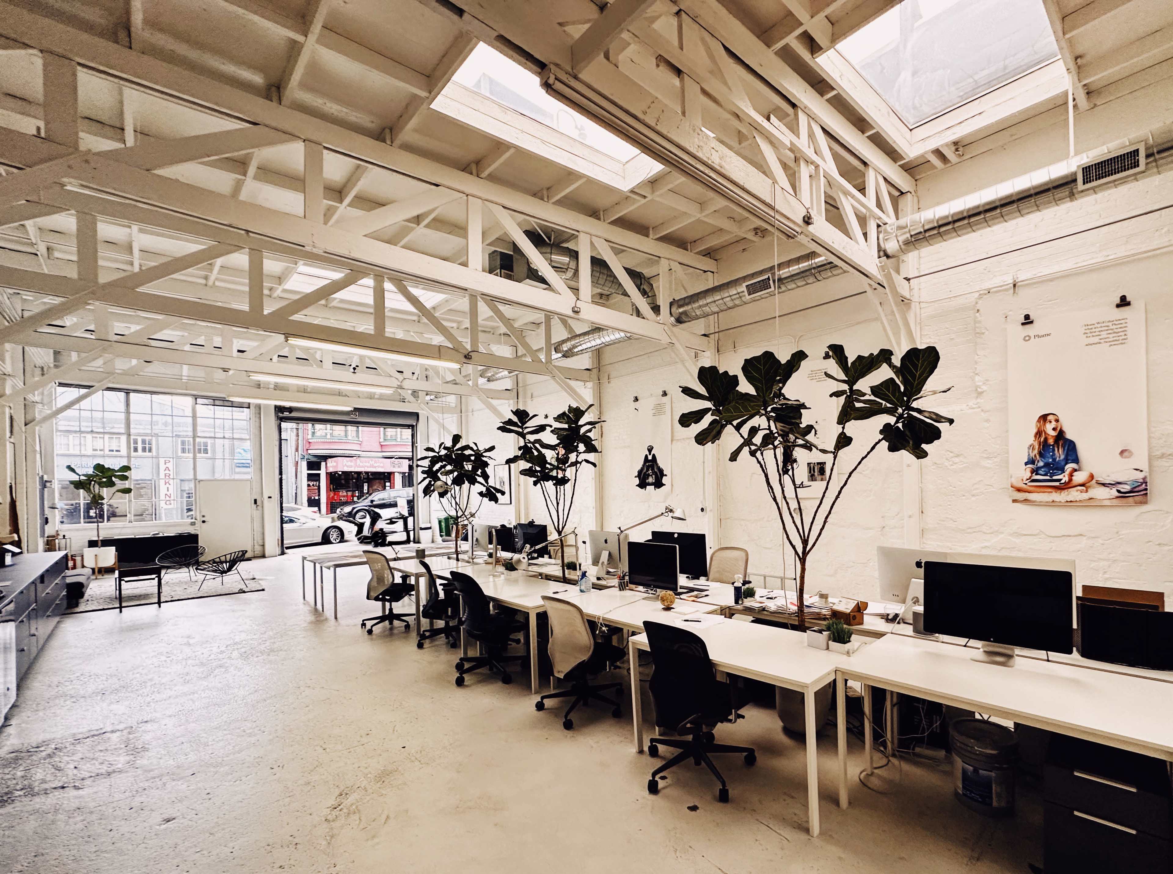 A bright office space featuring white walls, large windows, and rows of desks with desktop computers, illuminated by natural light through a skylight.