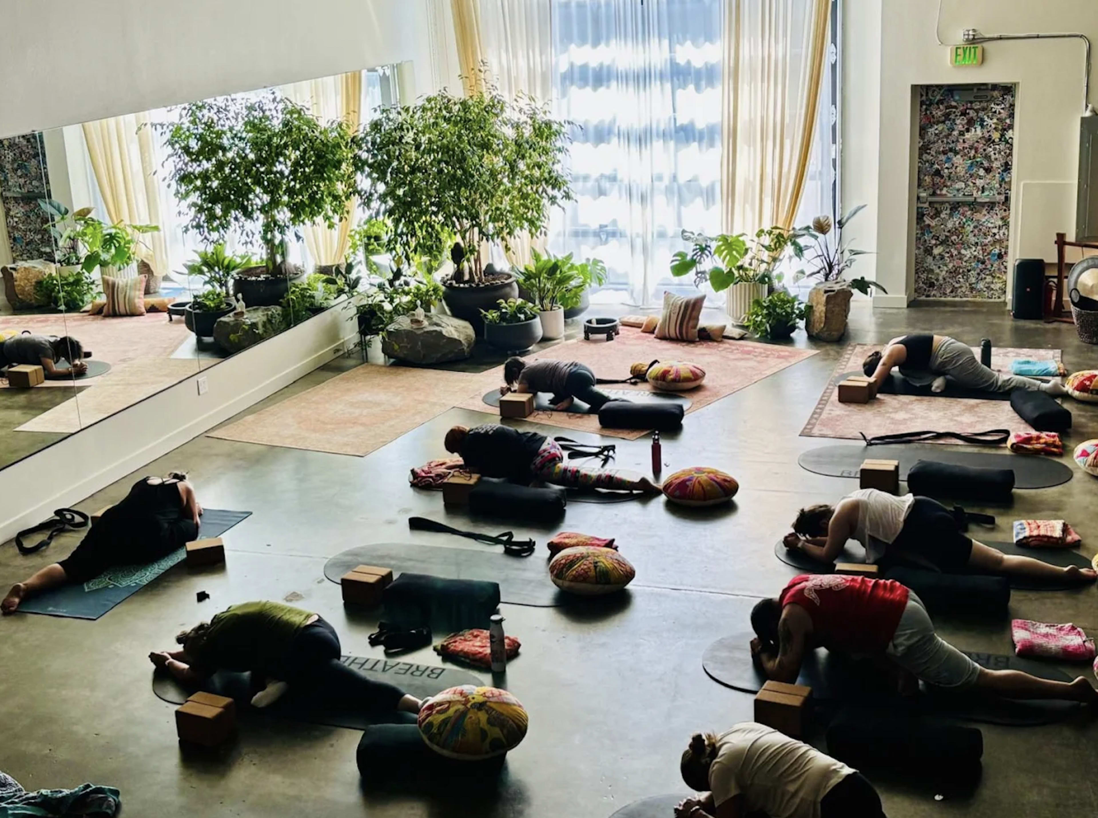 The image shows a yoga studio filled with participants in various poses, surrounded by potted plants and natural light coming through large windows.