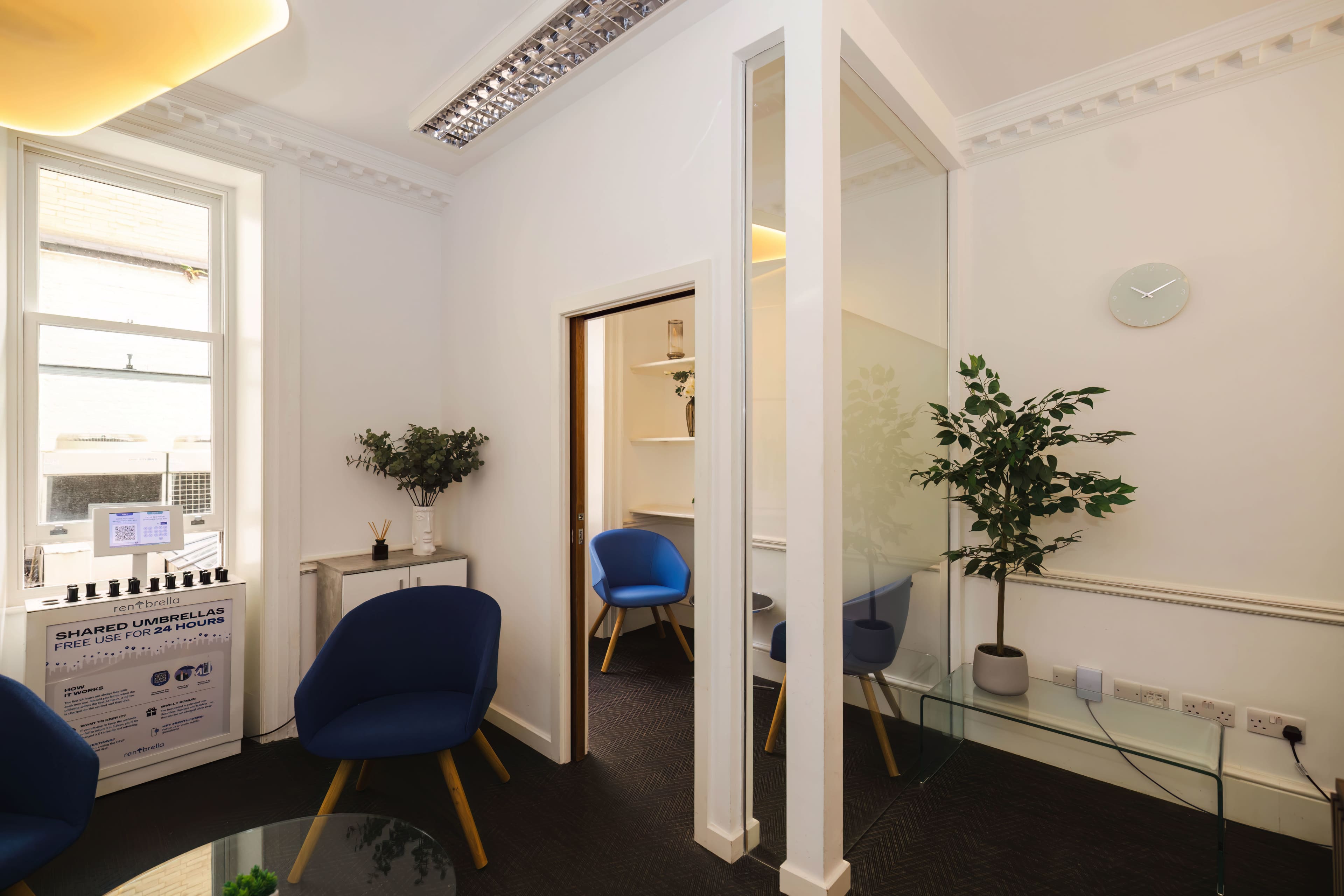 A modern office space with blue chairs, a glass partition, a wall clock, and a small shelf with plants.