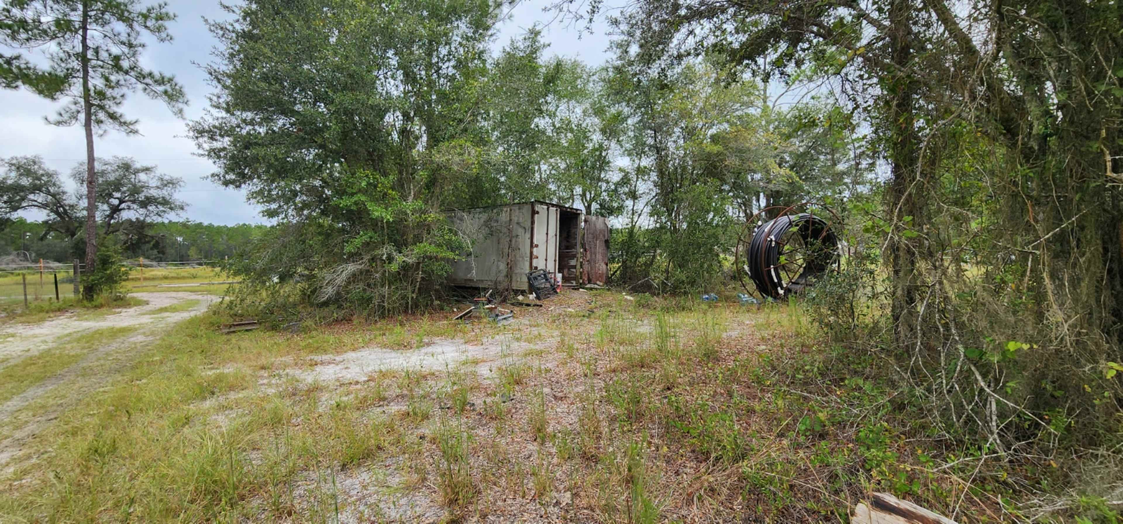 The image shows an overgrown area with a rusted shipping container and large metal circle among dense vegetation and grass.