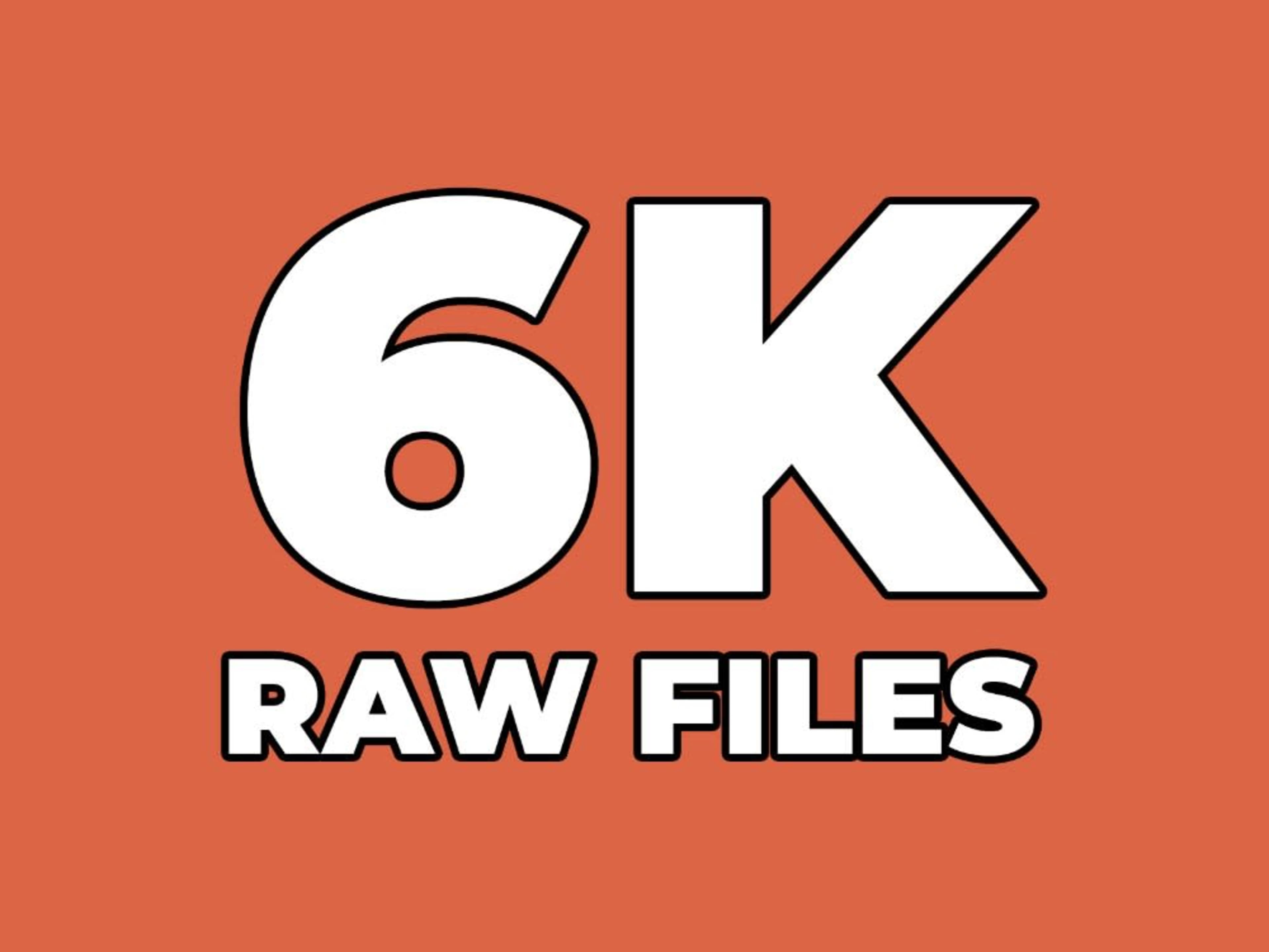 RAW Files (via Hard Drive or Dropbox)