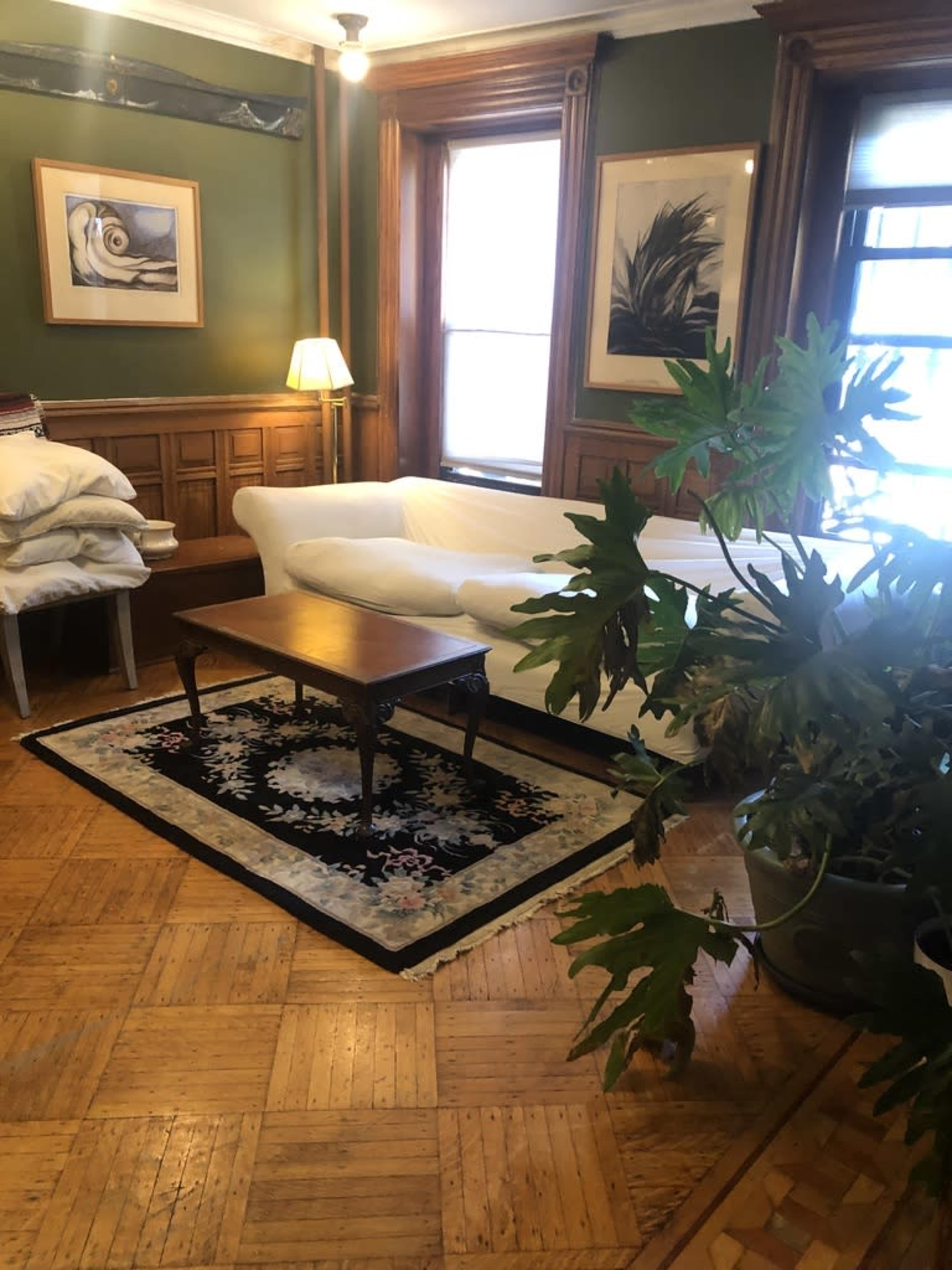 A cozy living room with a white couch, a wooden coffee table, and a large potted plant, surrounded by green walls and framed artwork.