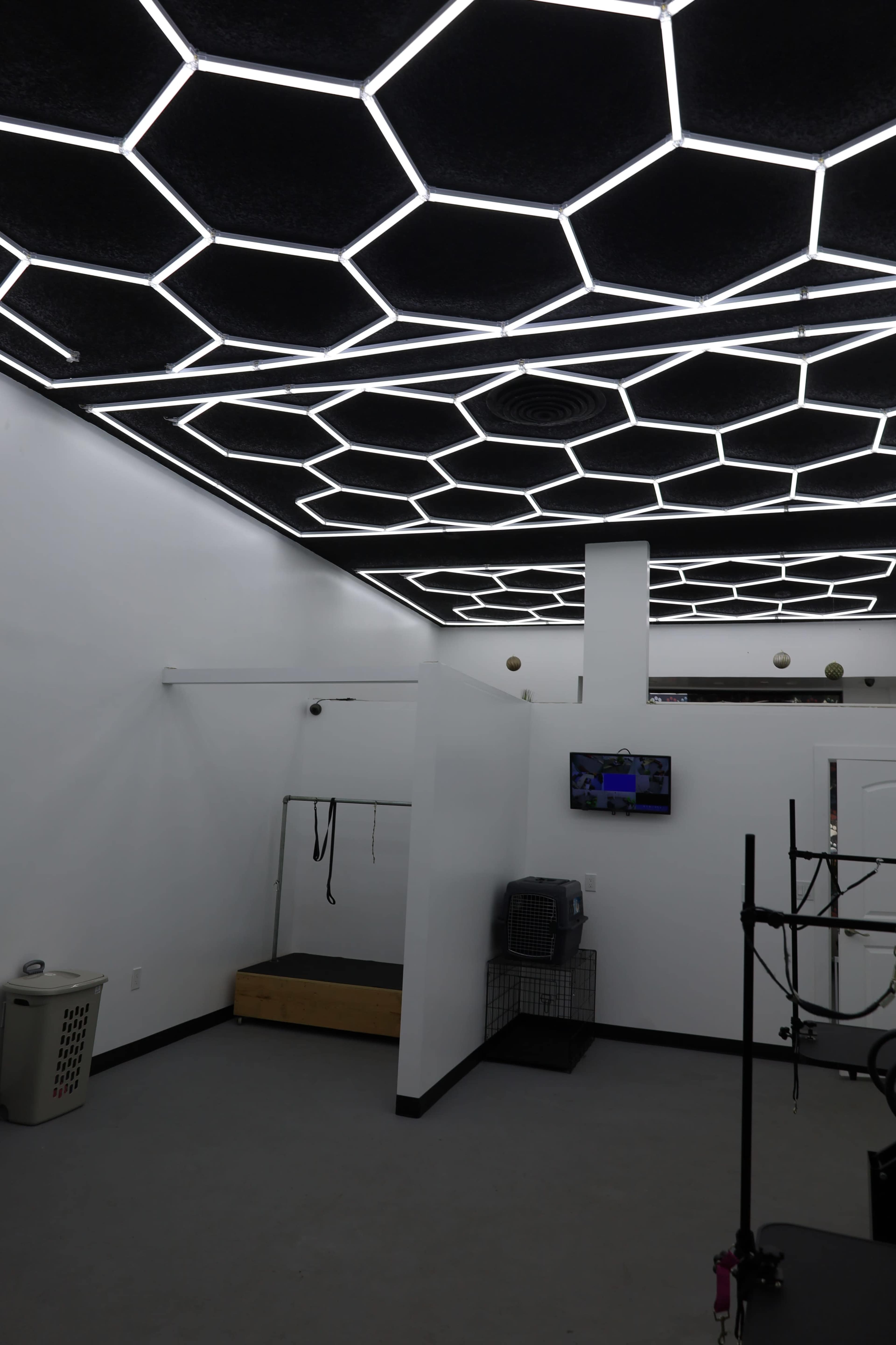 The image shows a spacious, modern room with a unique hexagonal-patterned ceiling light installation and minimalist decor.