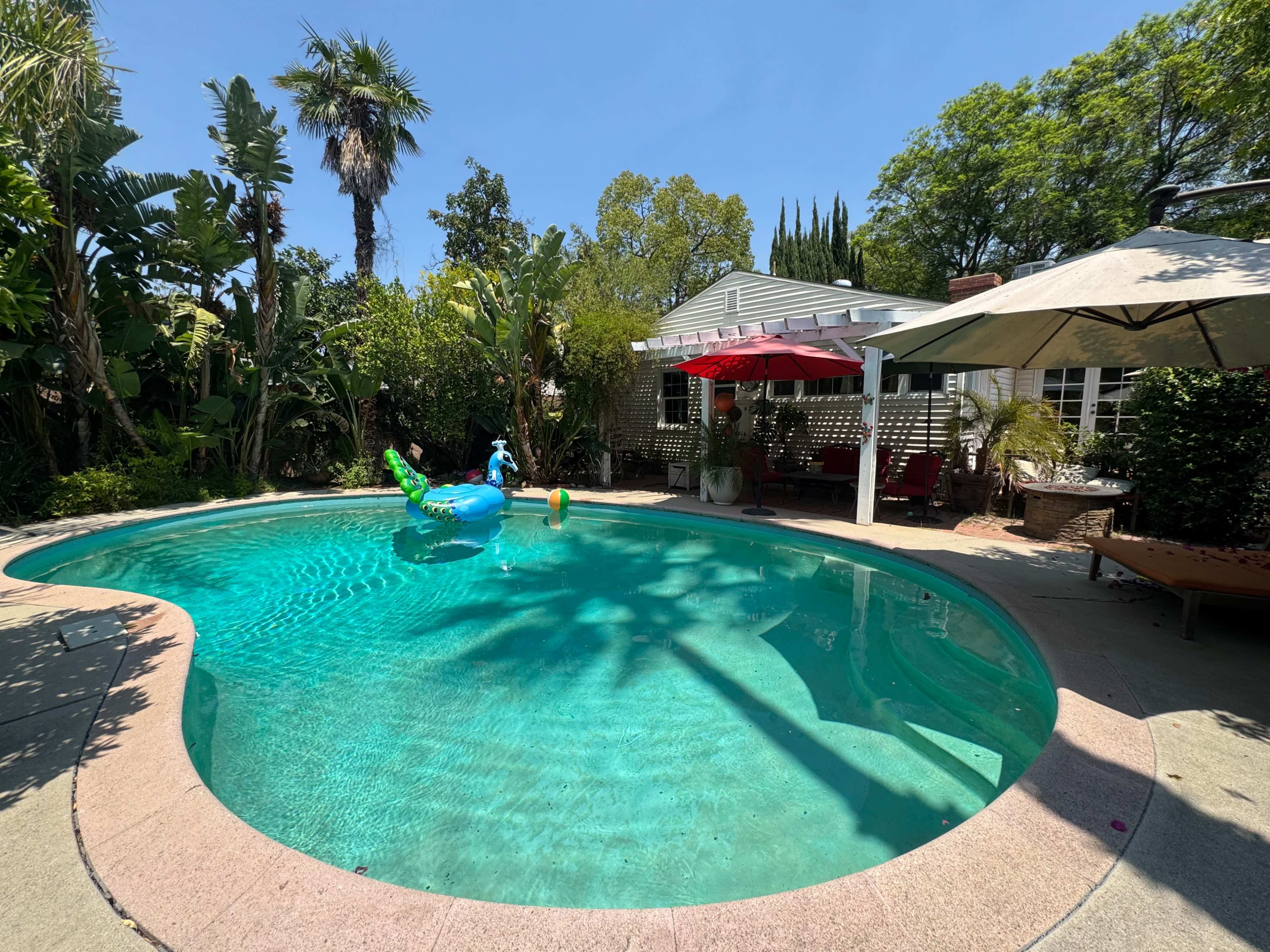 The Classic Pool Oasis in the Valley Image in Sherman Oaks, Sherman oaks, CA