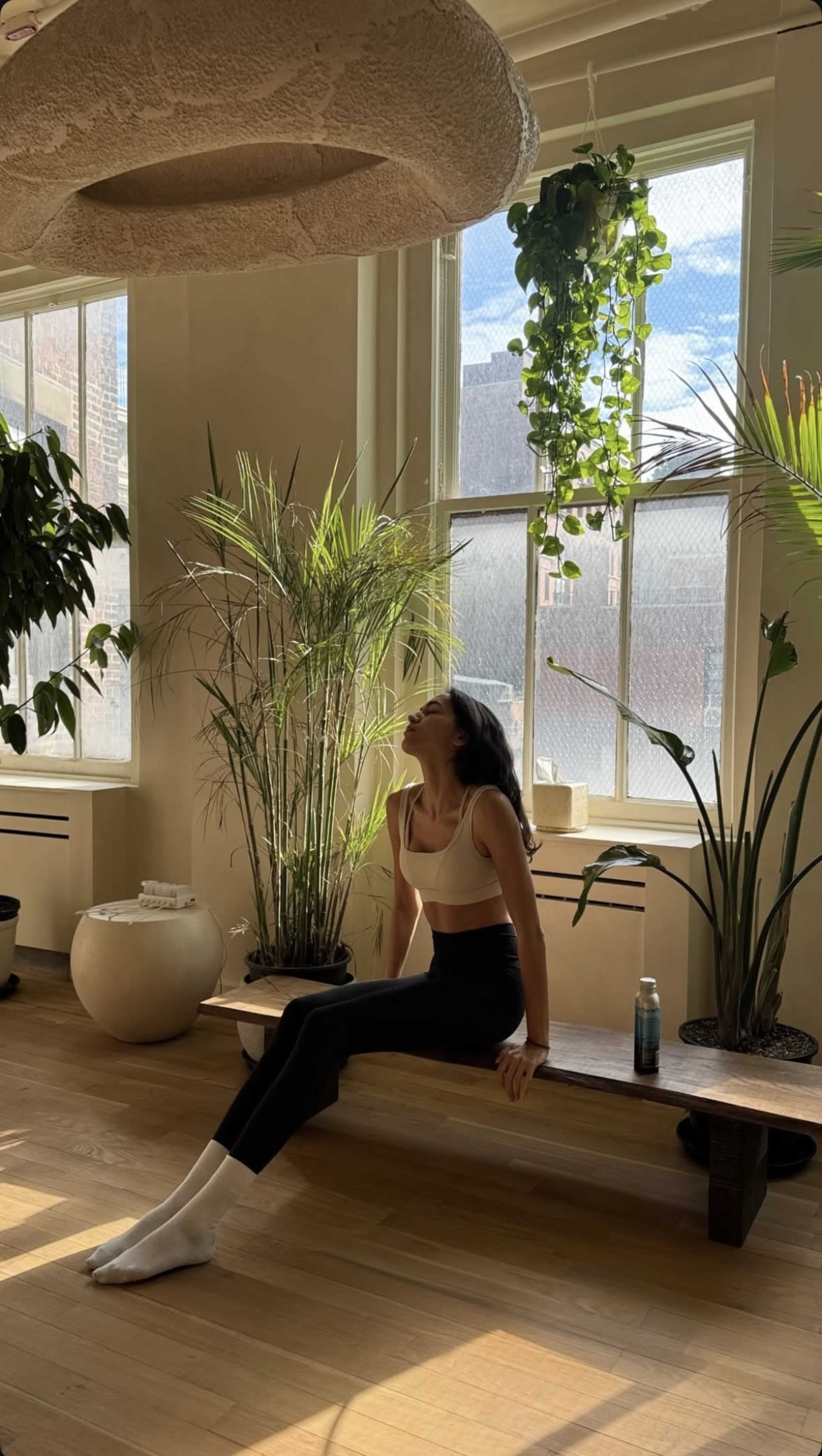 A person is sitting on a wooden bench surrounded by various indoor plants in a bright room with large windows.