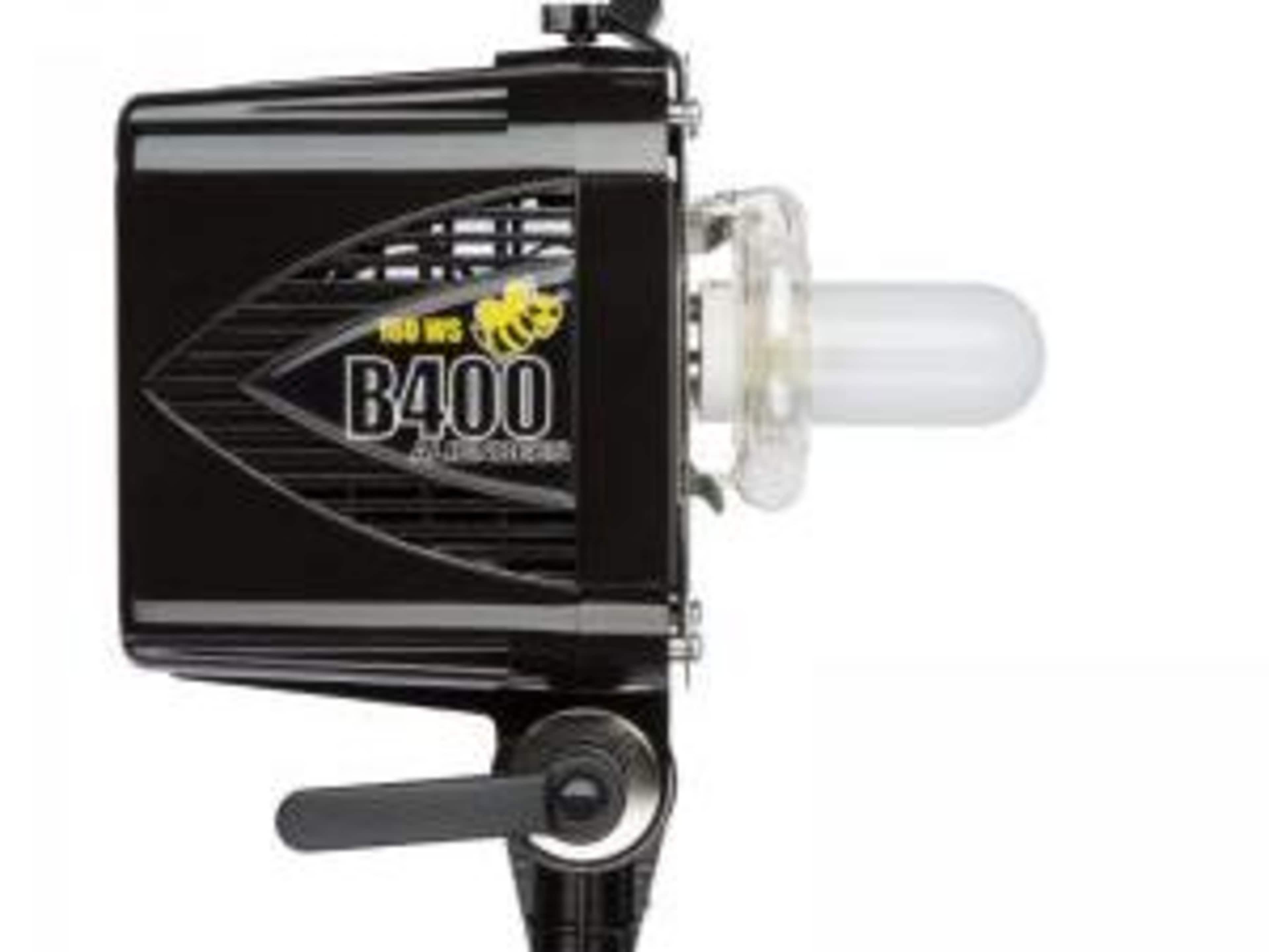 PAUL C BUFF_ ALEIN BEES #2