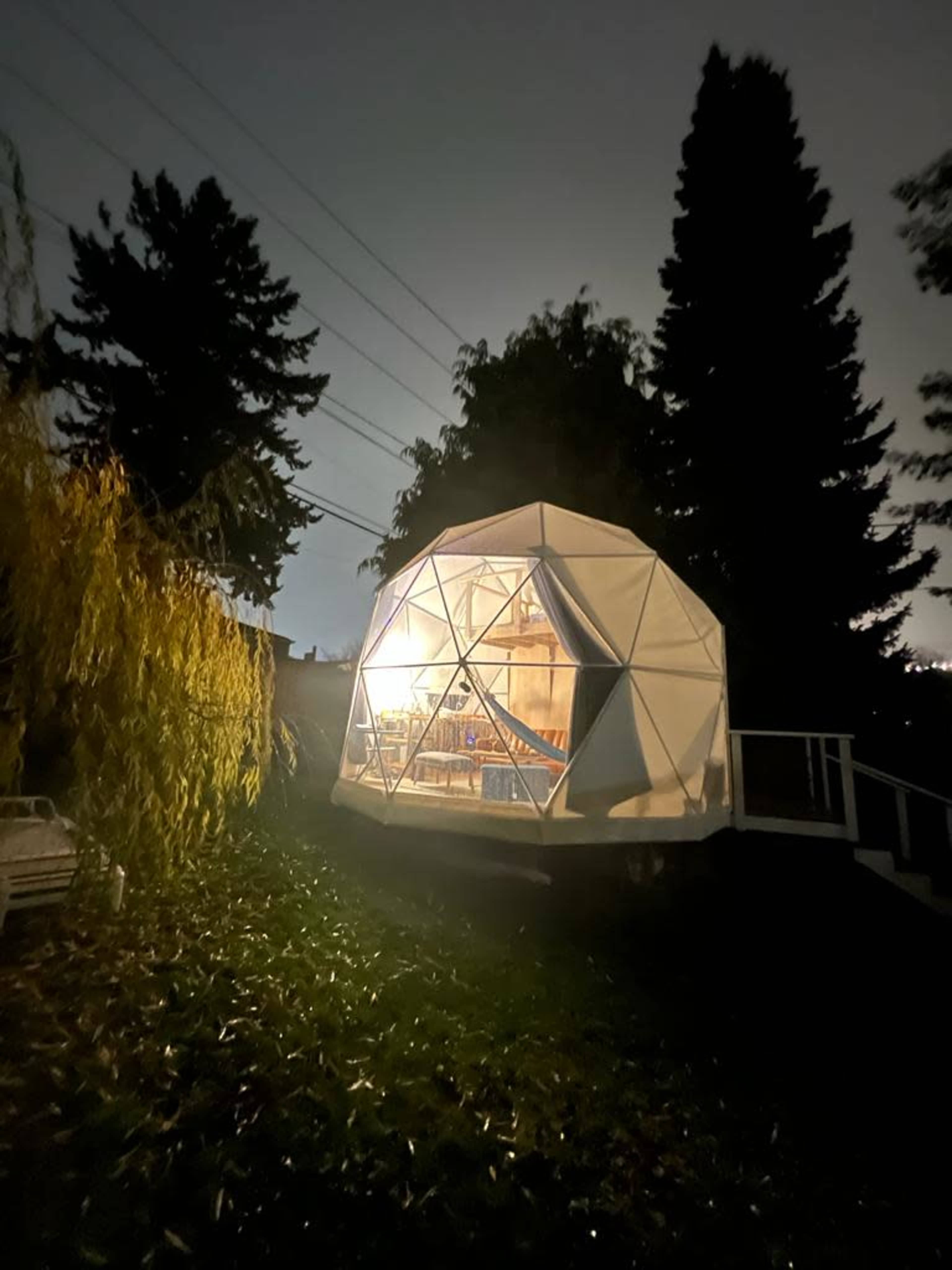 A geodesic dome structure with illuminated interior stands on a grassy area surrounded by trees at night.
