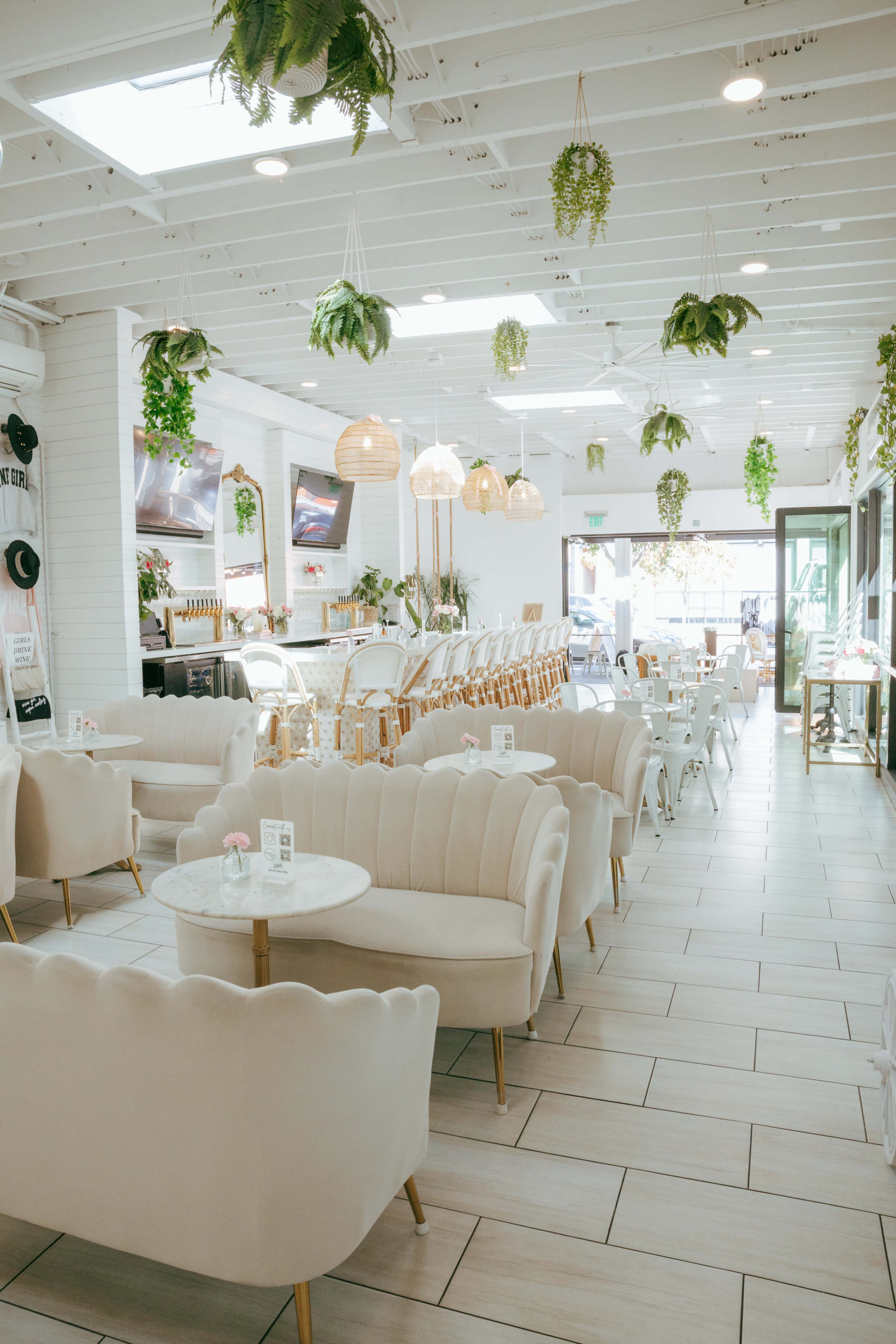 The image shows a bright and airy café interior featuring cream-colored seating, wooden accents, and hanging plants.