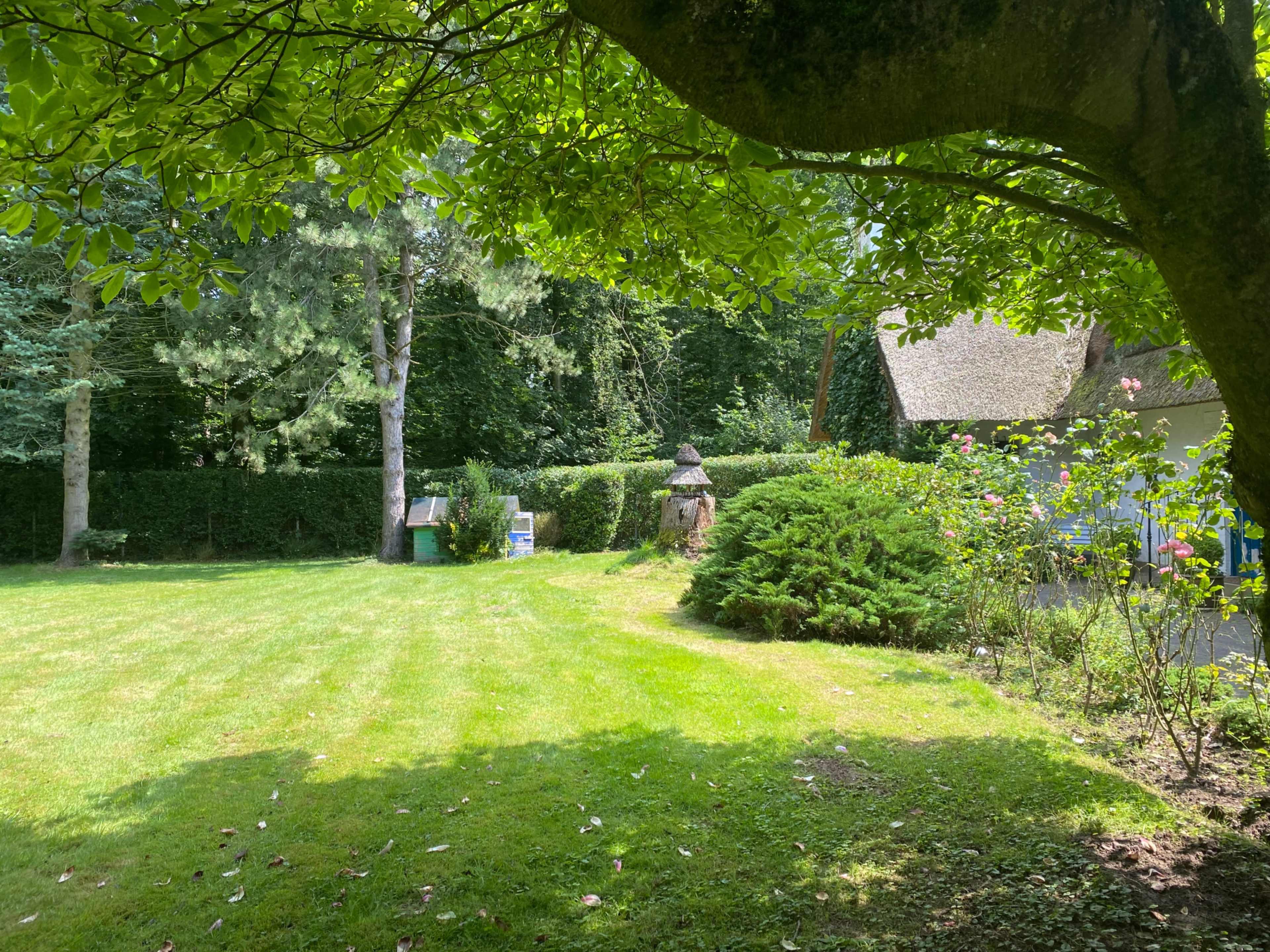 Thatched Forester's House With Spacious Garden And Fireplace Image in Roggendorf/Thenhoven, Dormagen