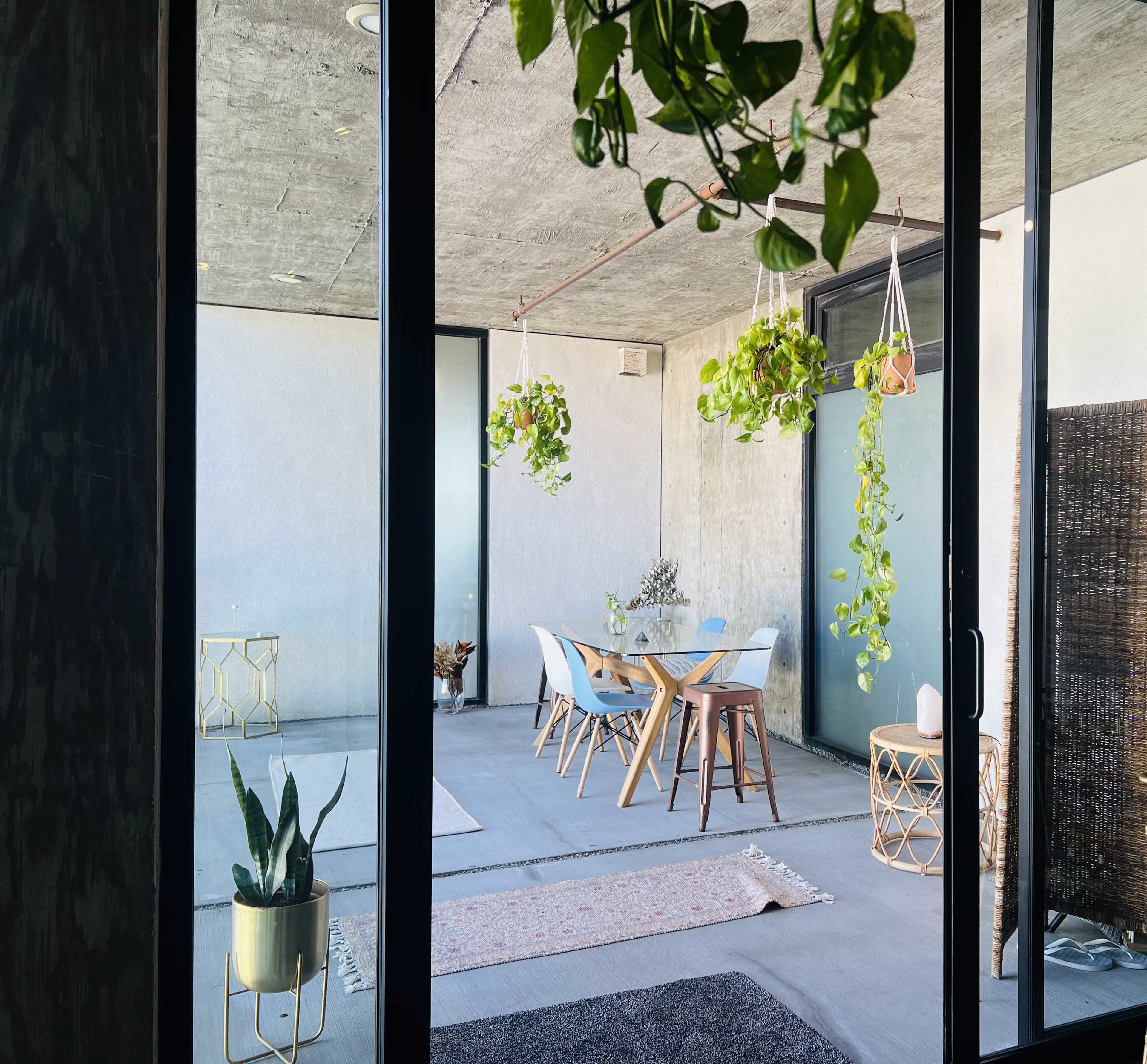 The image shows a contemporary indoor space with modern dining furniture, hanging plants, and a minimalistic design featuring concrete walls and large glass doors.