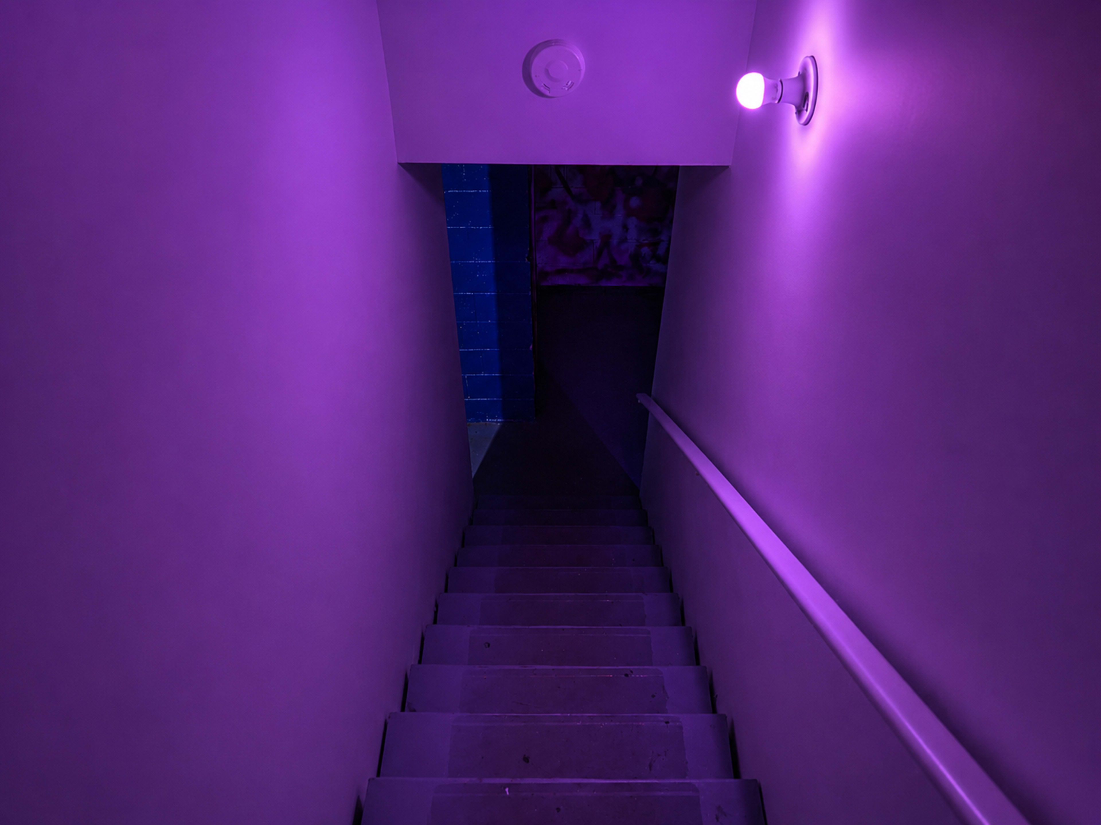 A staircase leads down into a dimly lit corridor with purple walls and a glowing purple light fixture.