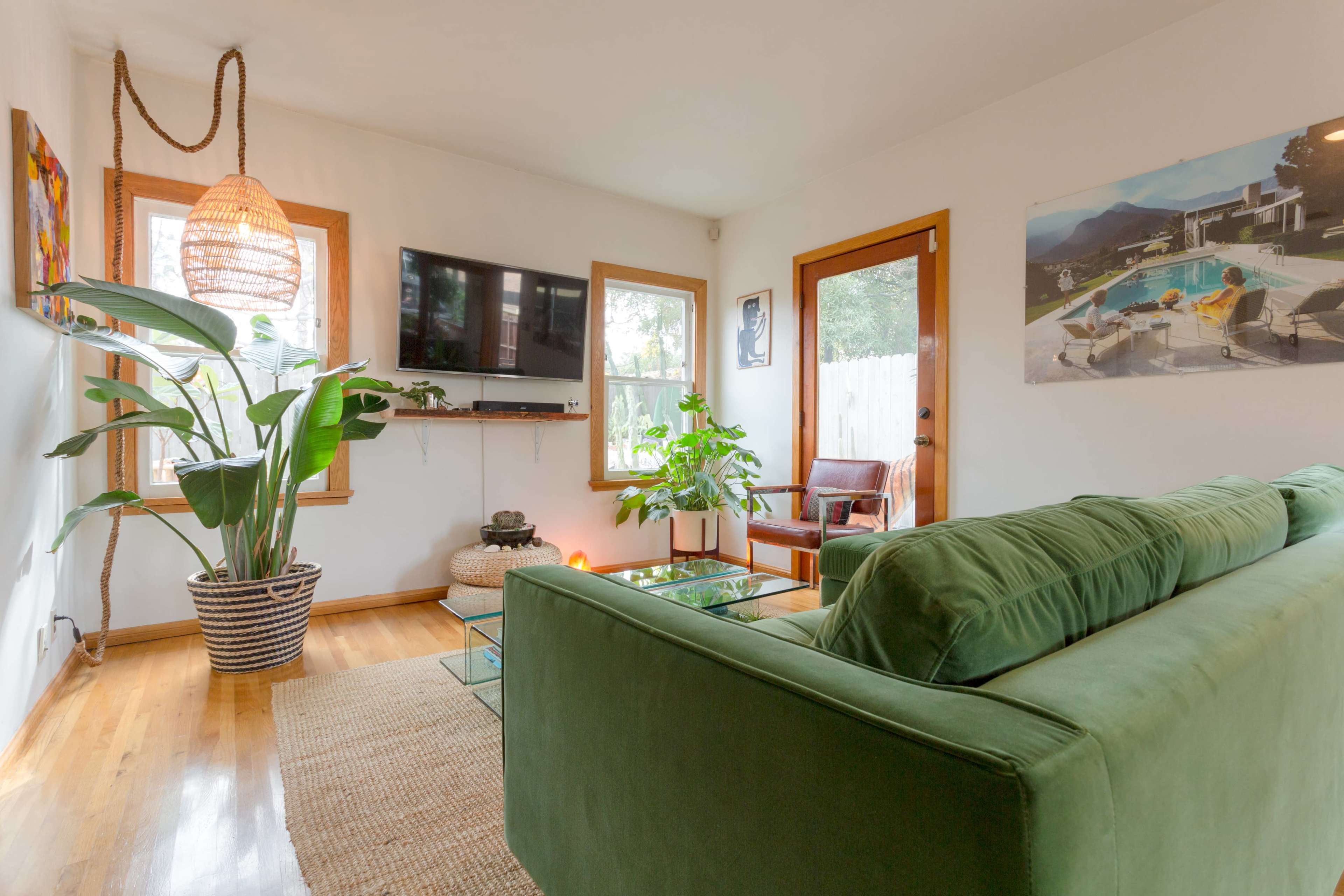 A green sofa is positioned in a bright living room with a television mounted on the wall, a large potted plant, and a glass coffee table.