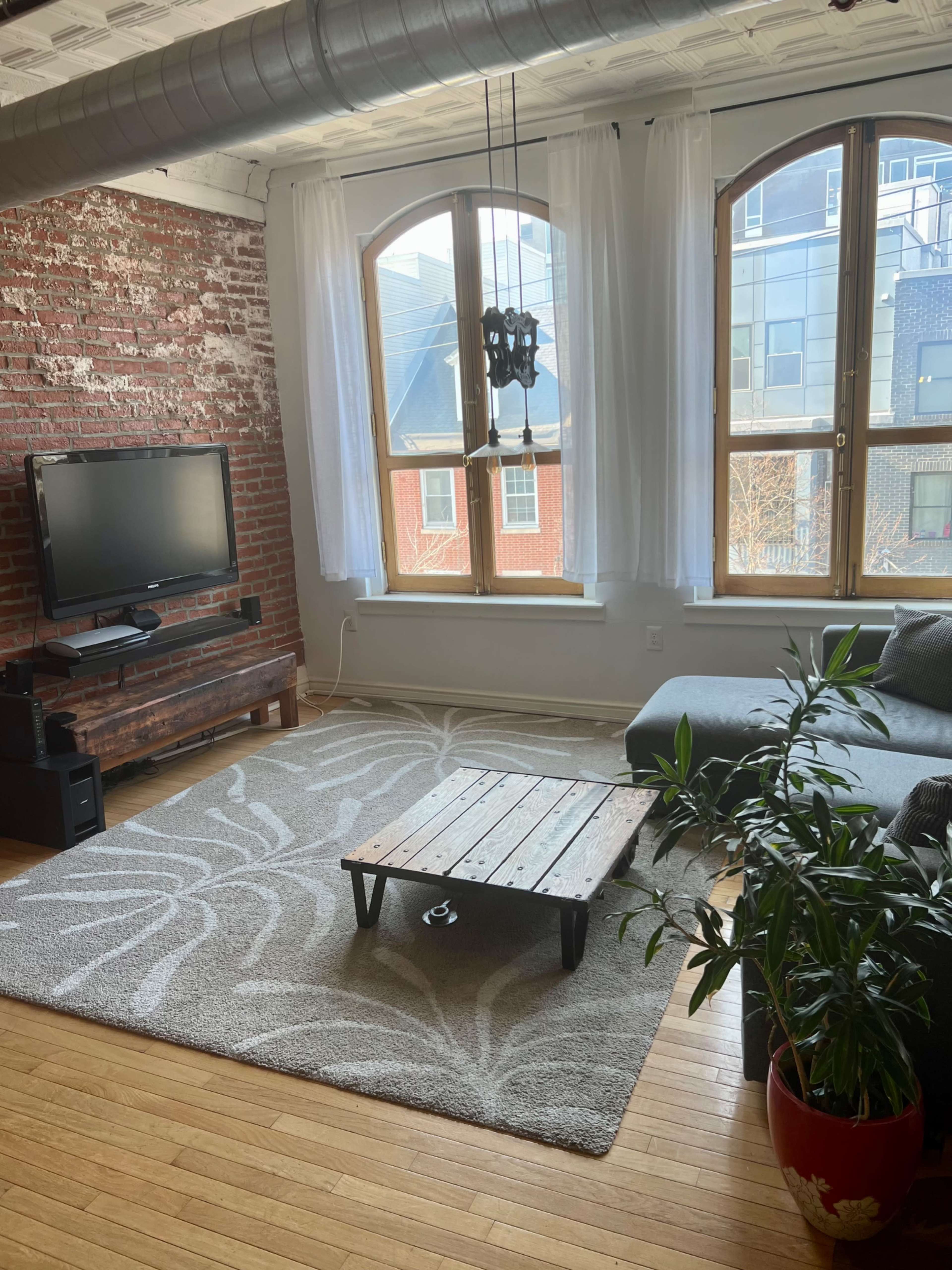 A modern living room with exposed brick walls, large windows, a flat-screen TV, a wooden coffee table, and a potted plant.