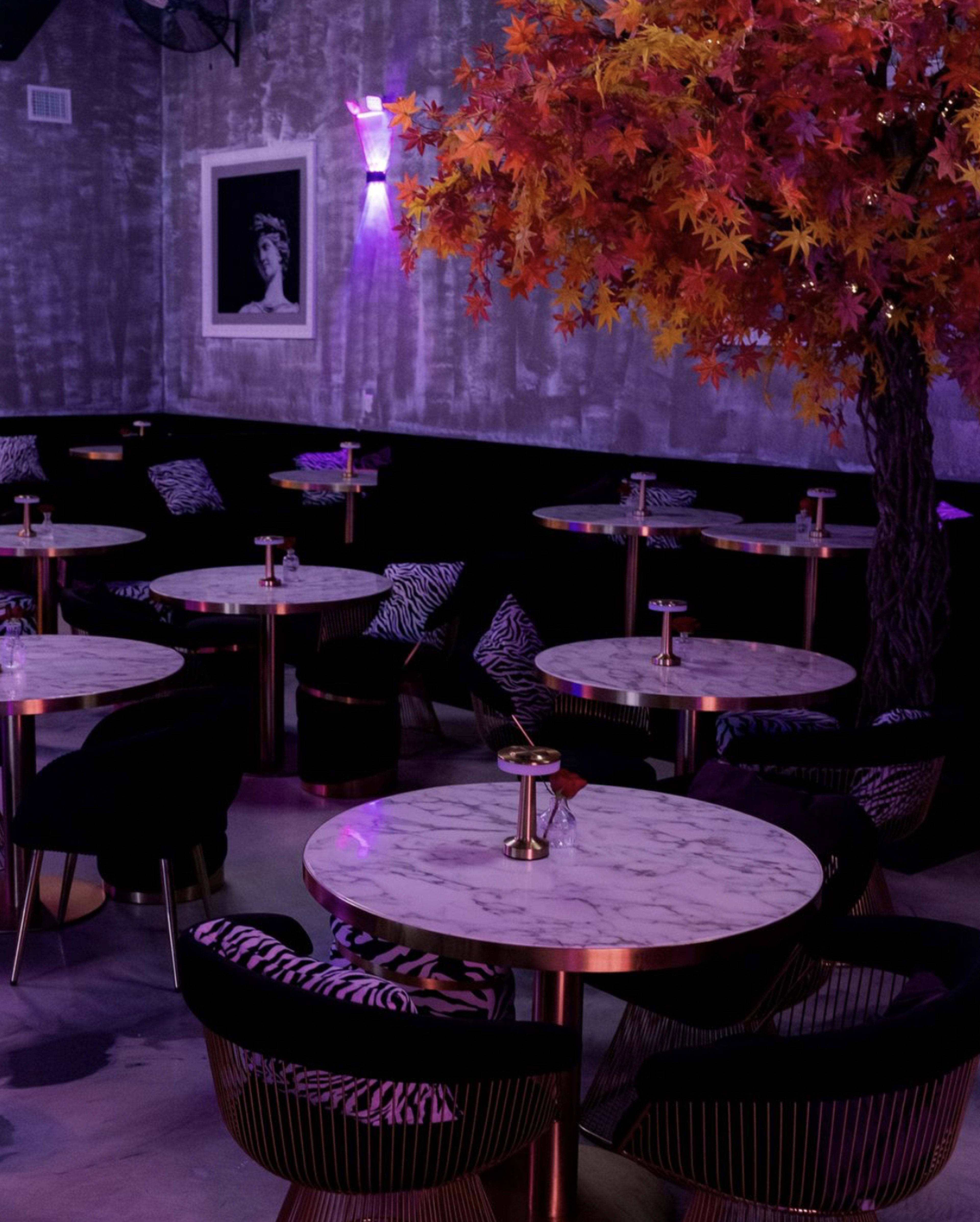 Westheimer Lounge Space Image in Eldridge / West Oaks, Houston, TX