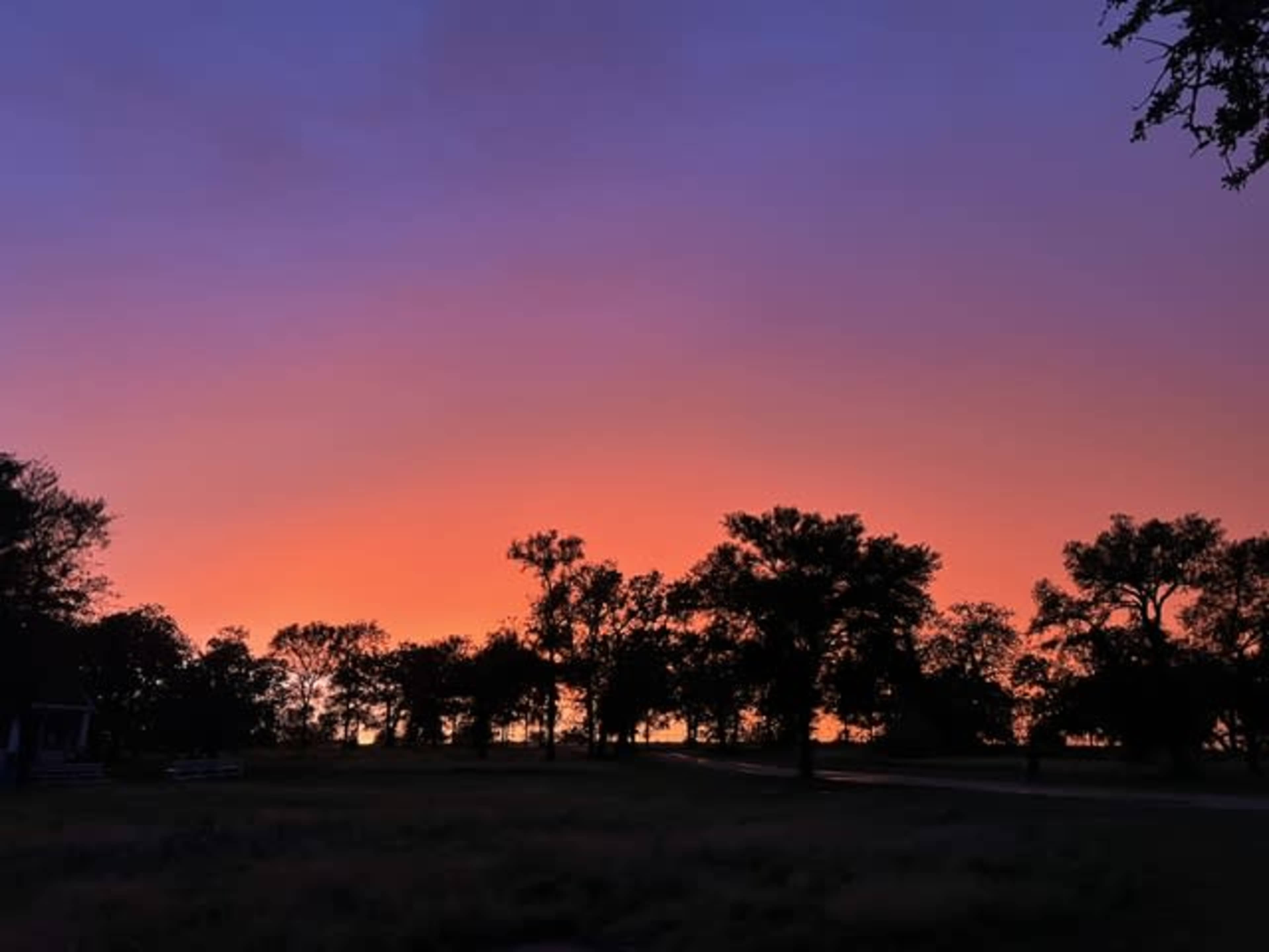 The image shows a colorful sky at sunset with silhouettes of trees in the foreground.