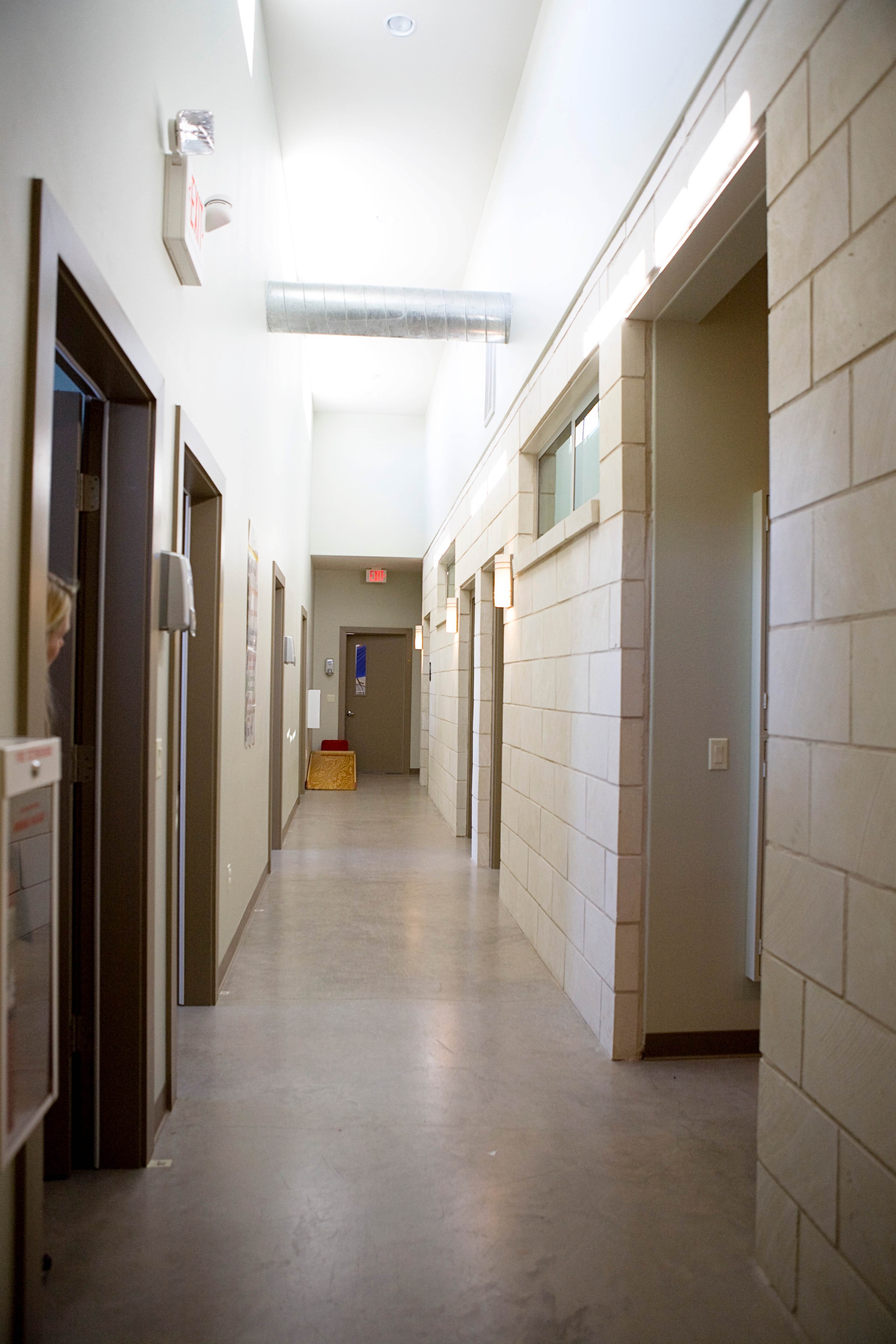 A long hallway with several doors on either side and large windows letting in natural light.