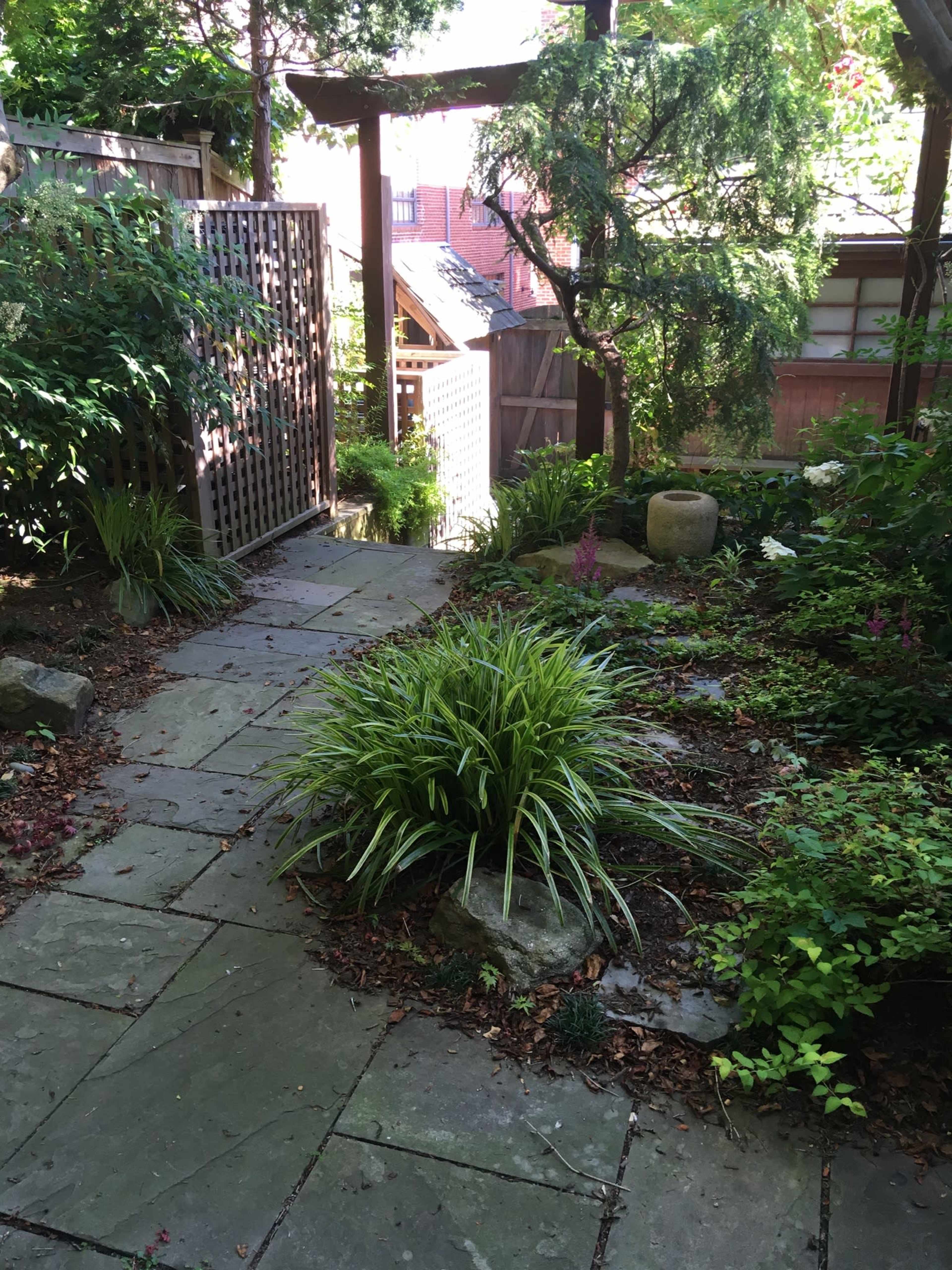 A stone pathway leads through a garden filled with various plants, ending at a wooden gate surrounded by trees.