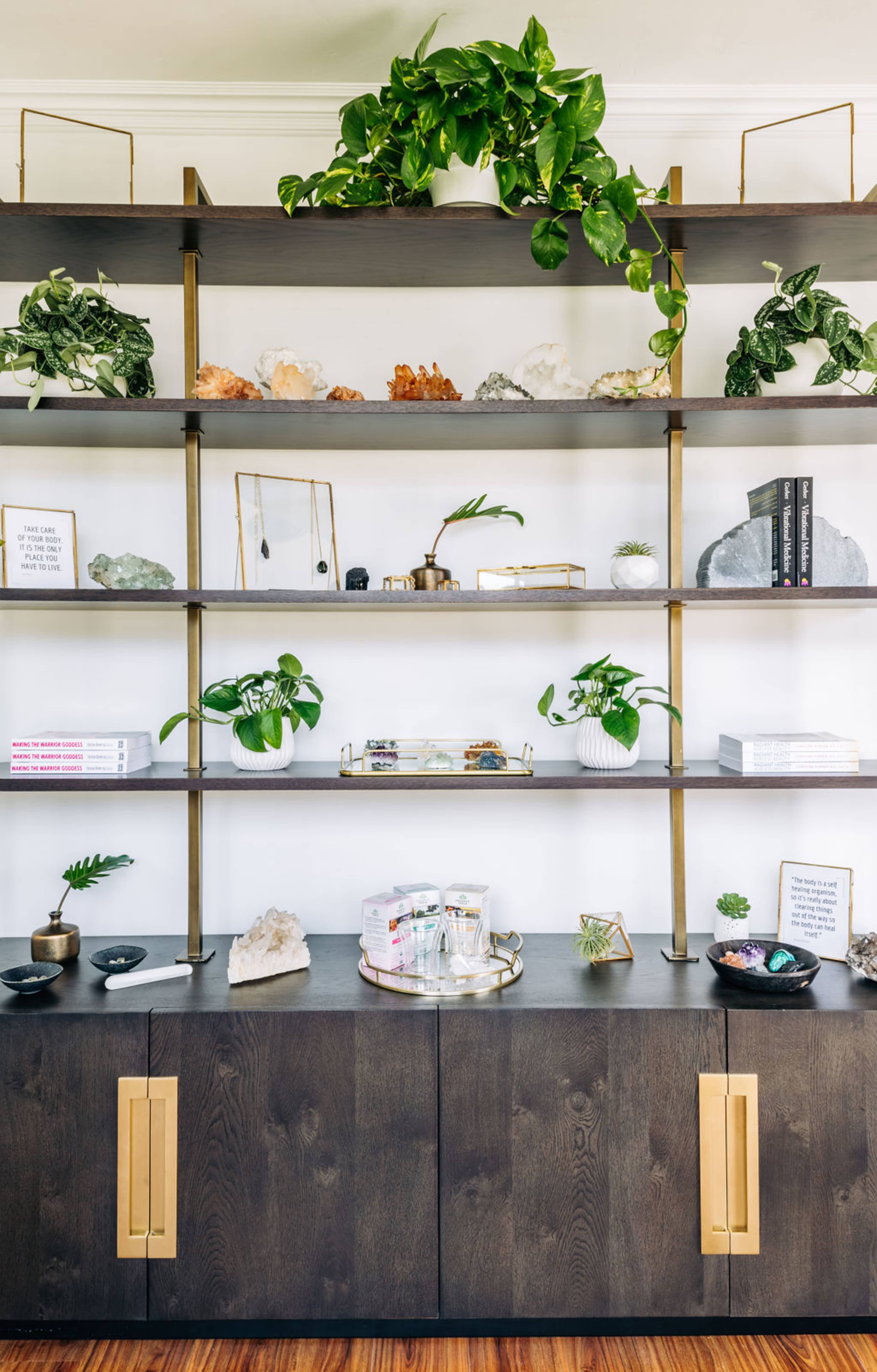 A modern shelving unit displays various plants, decorative rocks, and books against a light-colored wall.