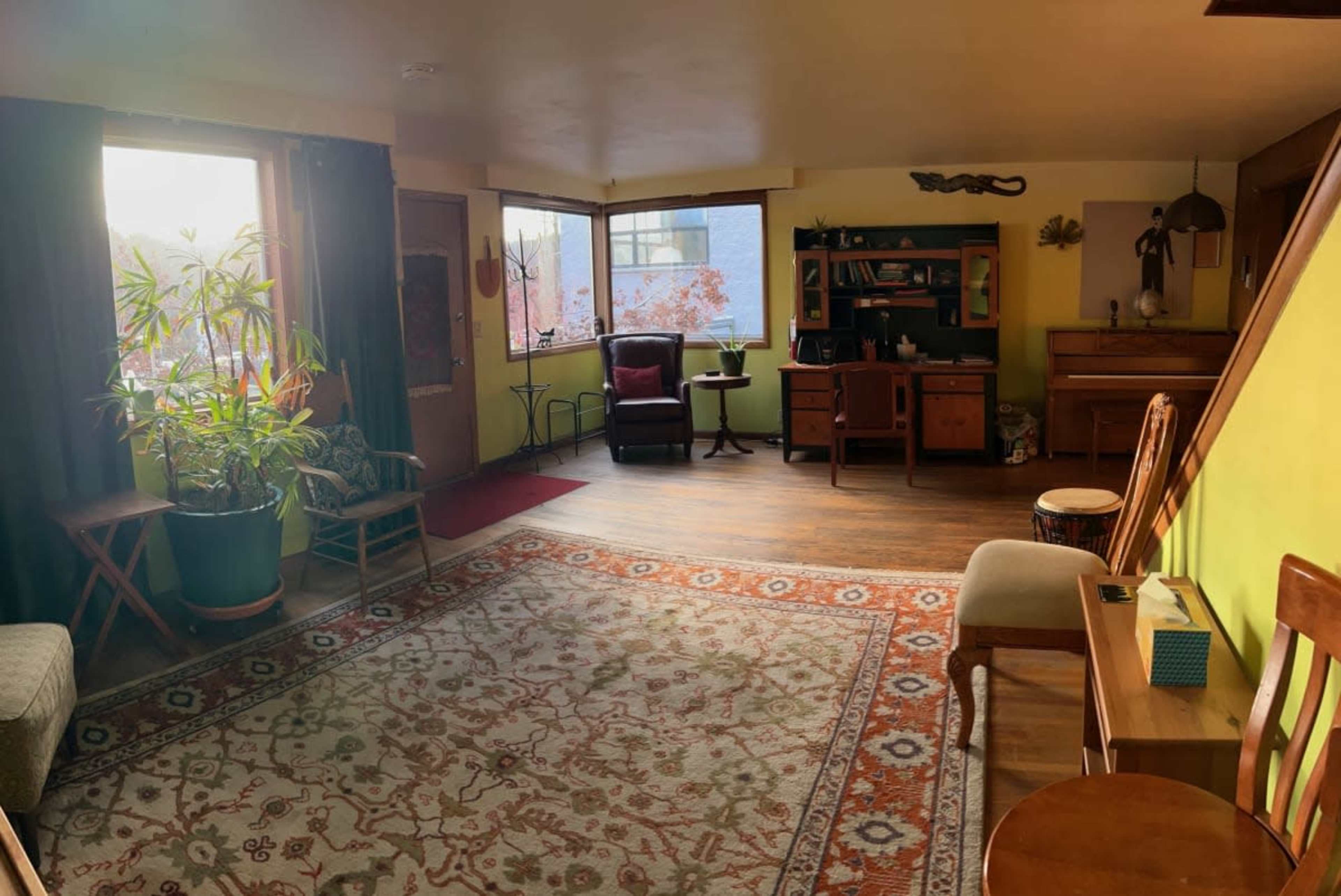 The room features a seating area with a large rug, a window with natural light, a plant, and wooden furniture.