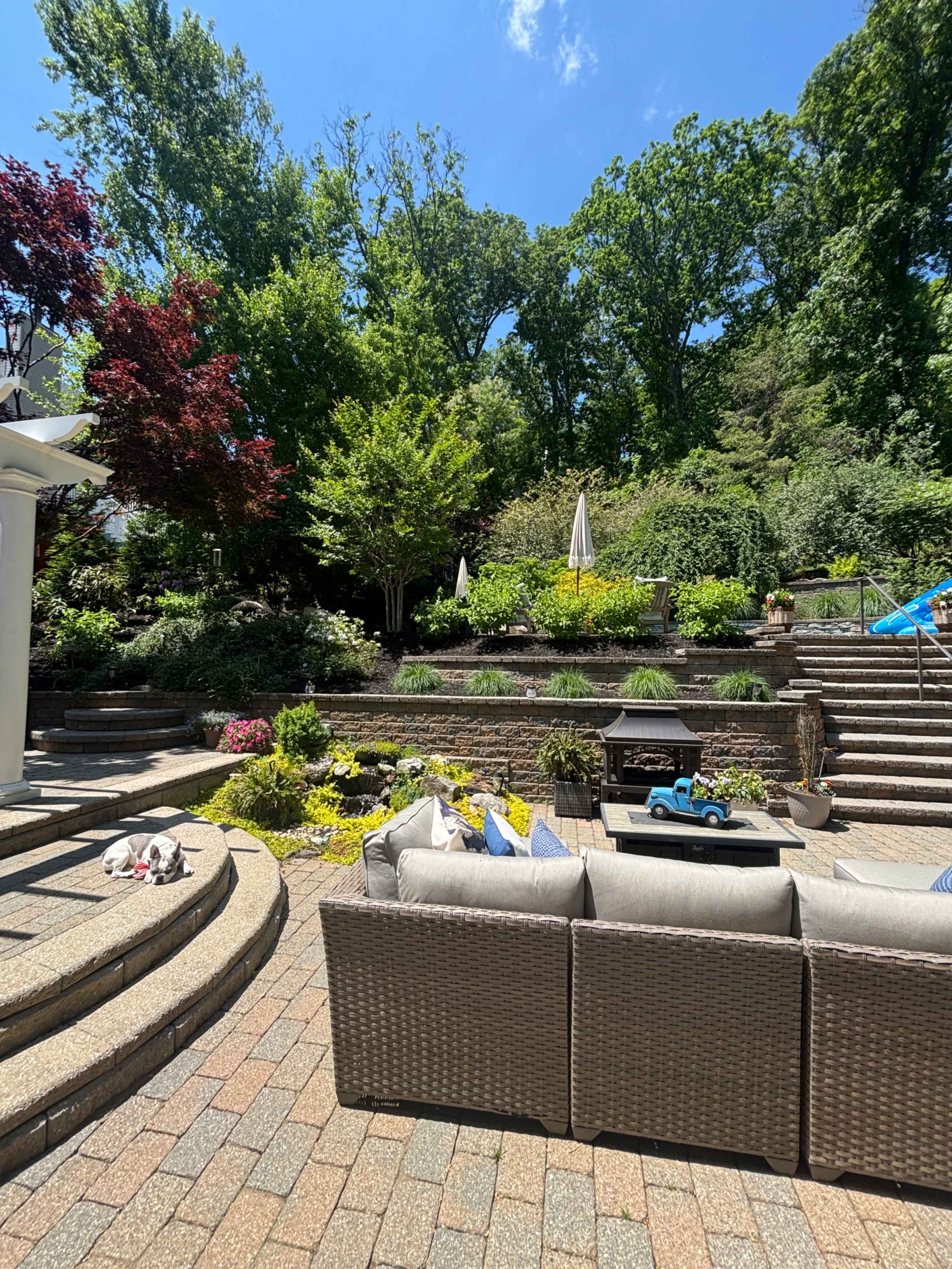The image shows a landscaped backyard with stone steps, a seating area with a sofa, and various plants and trees in the background.