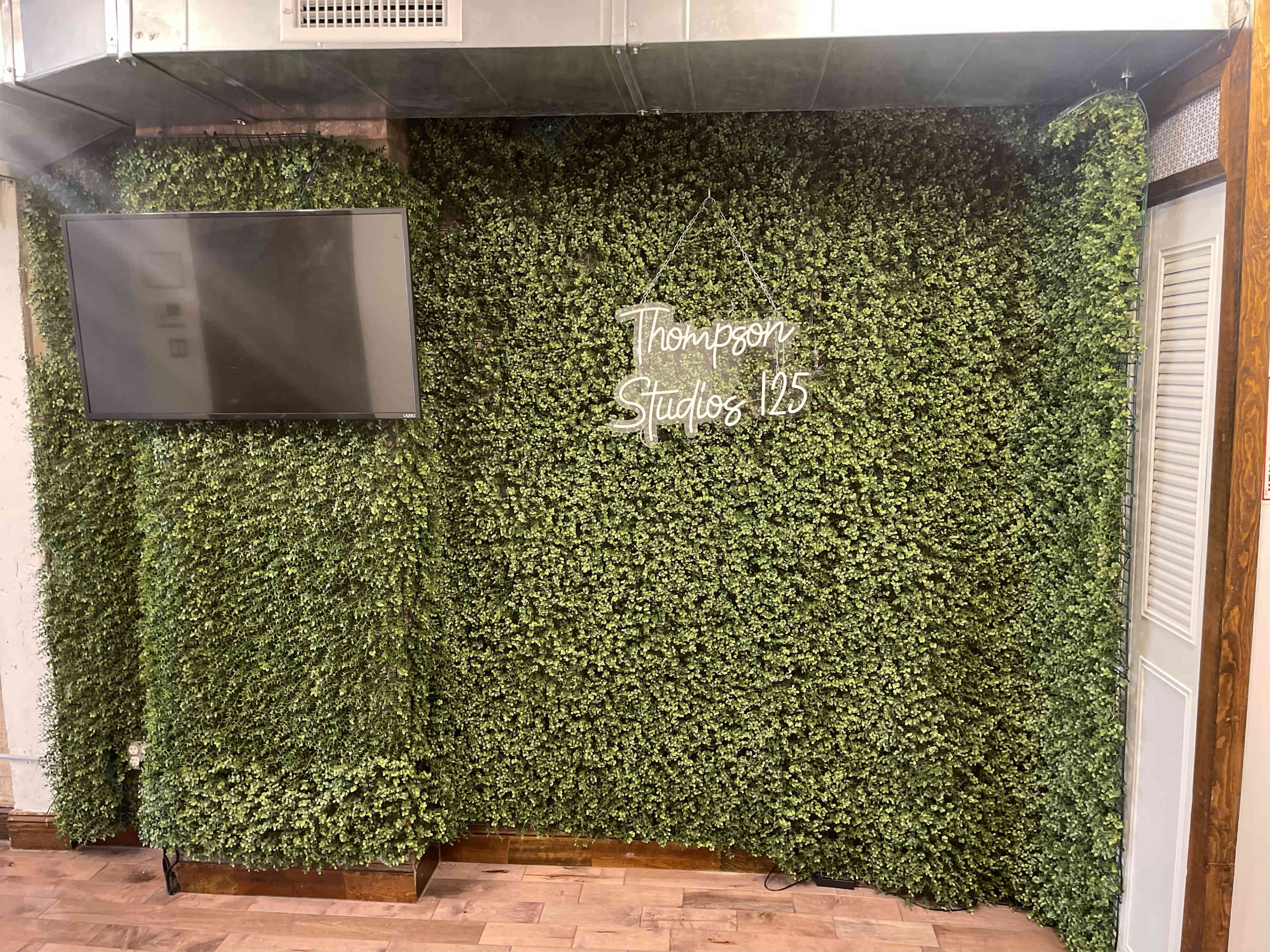 A wall covered in artificial greenery features the text "Thompson Studios 125" and is accompanied by a television.