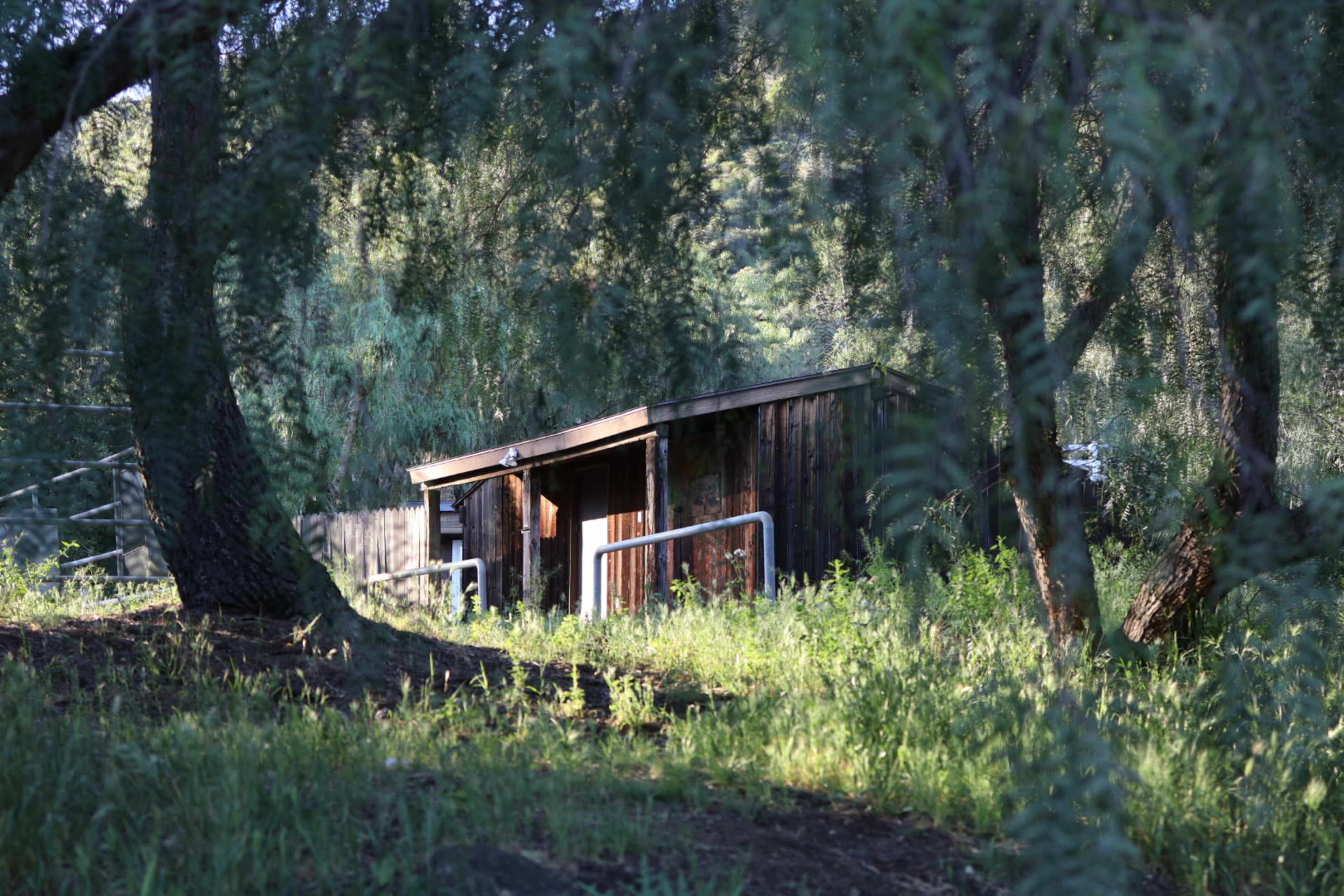 A small wooden cabin is nestled among trees in a grassy area.