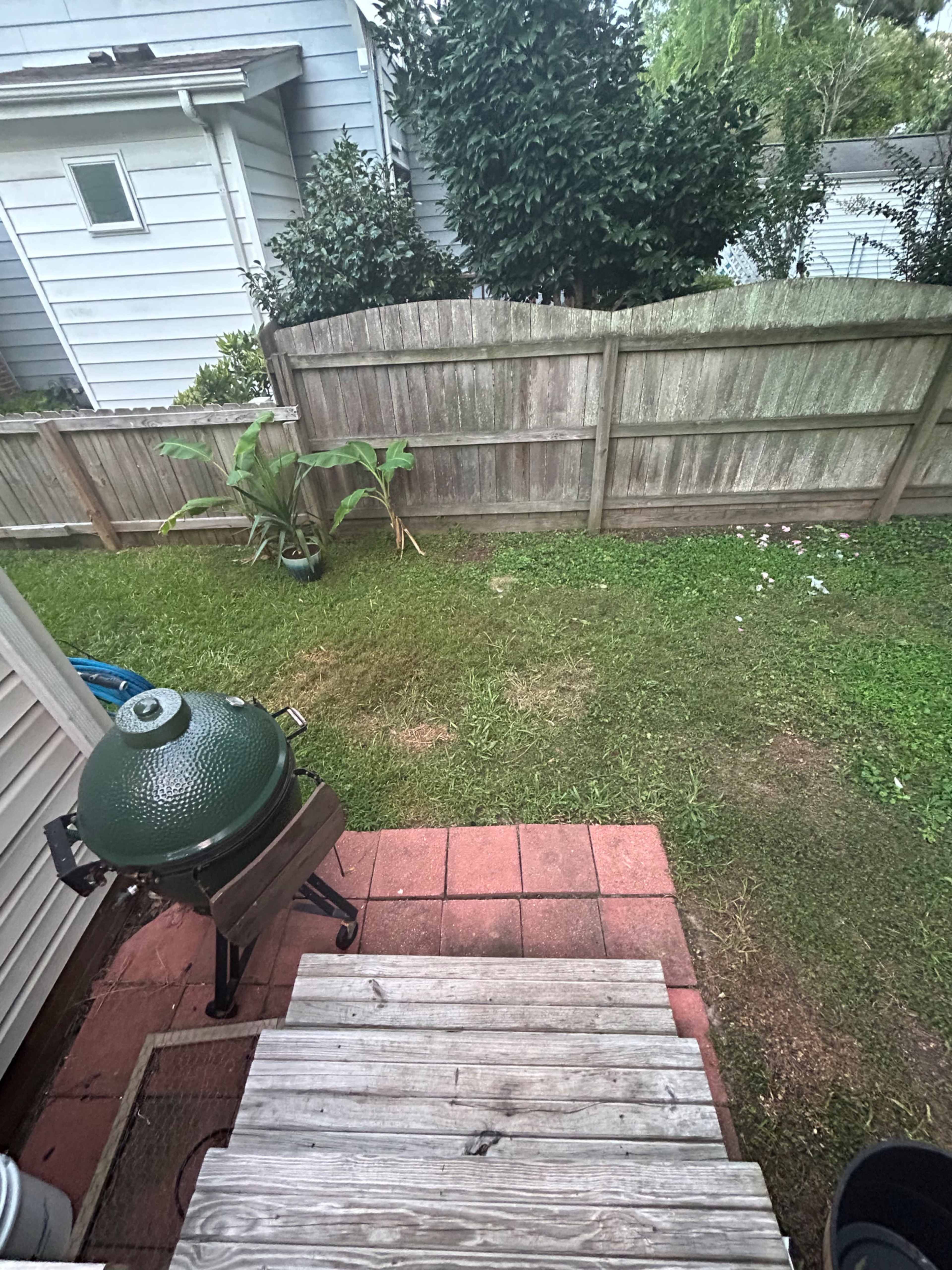 A green grill sits on a wooden patio near a grassy backyard with a wooden fence and some plants.