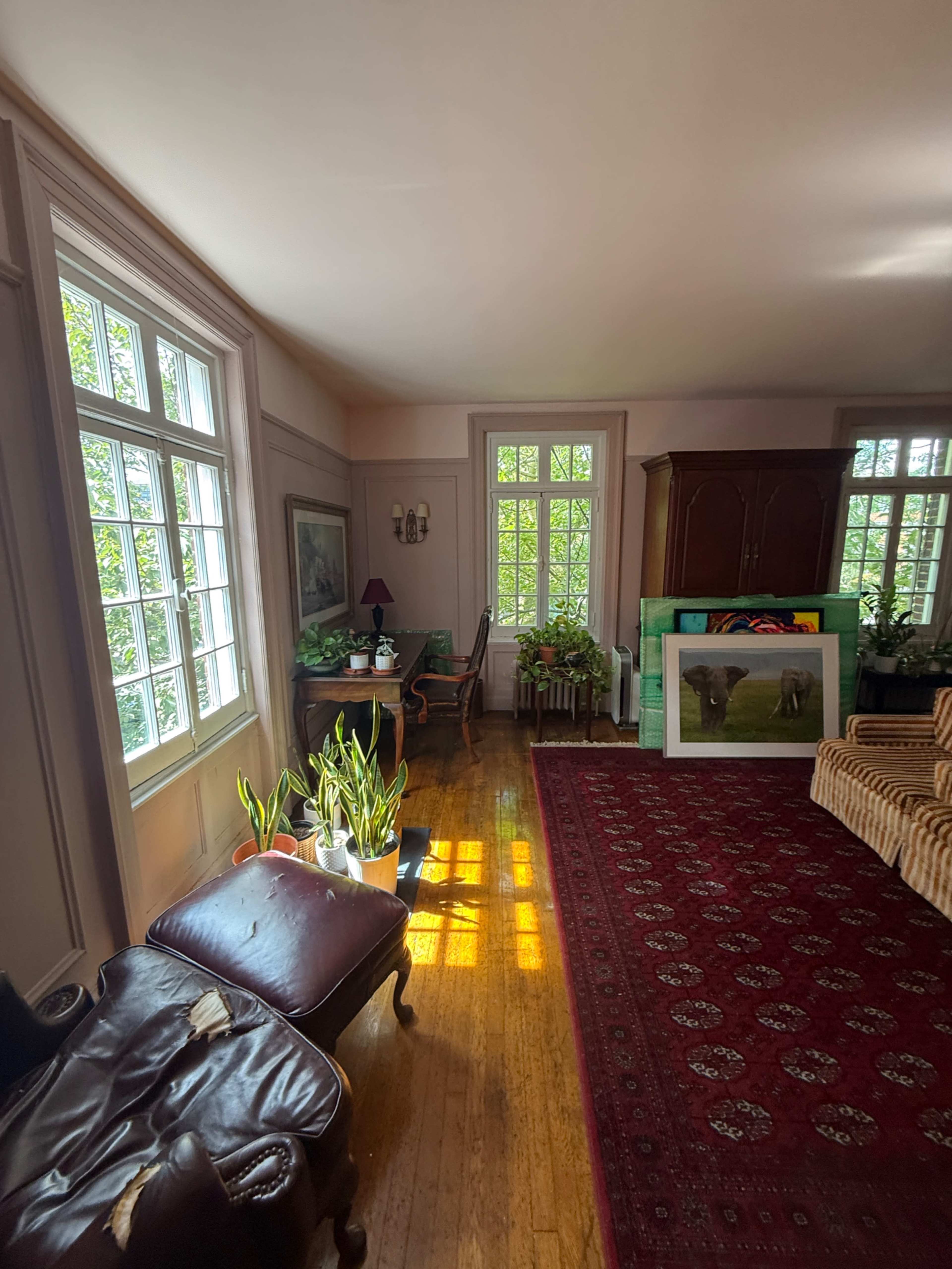 A well-lit living room features large windows, wooden flooring, a patterned rug, and various plants.