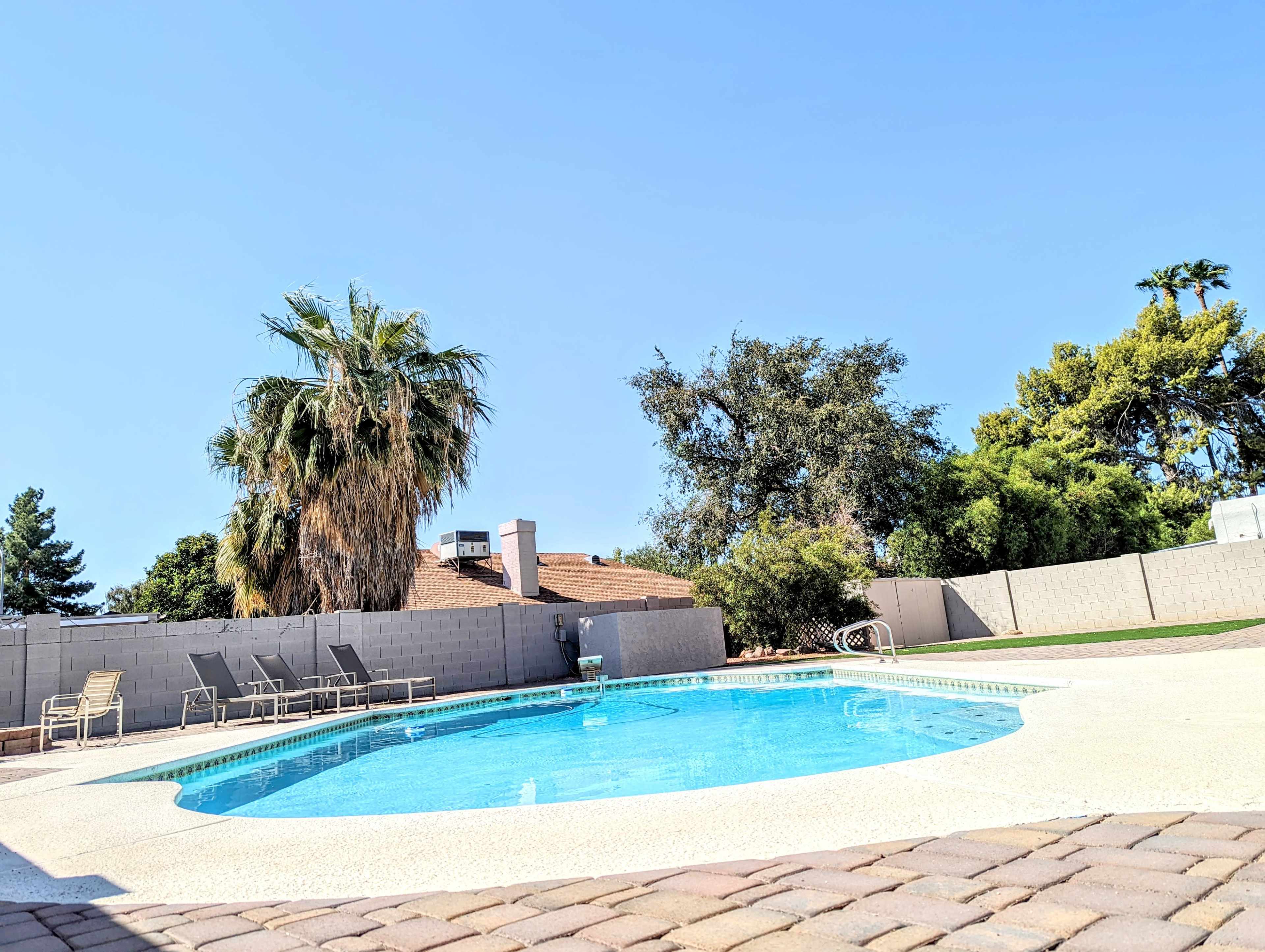 A clear swimming pool surrounded by a patio and several lounge chairs, with palm trees and other greenery in the background.